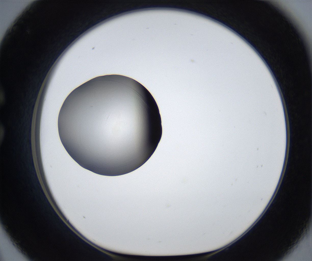 folderID915_plateID2915_batchID15763_wellNum33_profileID1_d1_r239132_ef.jpg