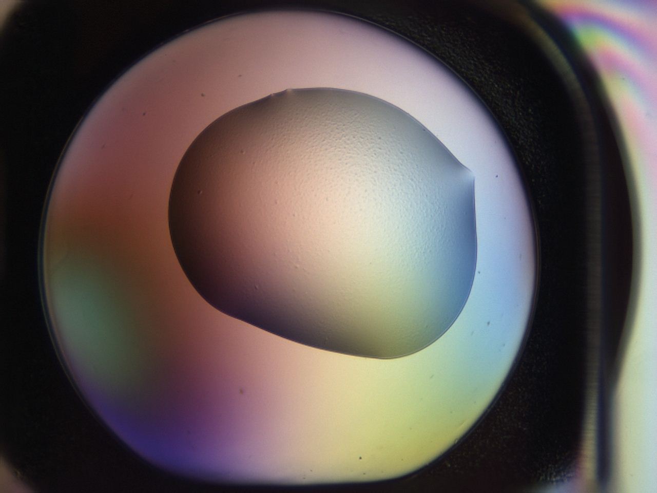 046p_H6_ImagerDefaults_0.jpg
