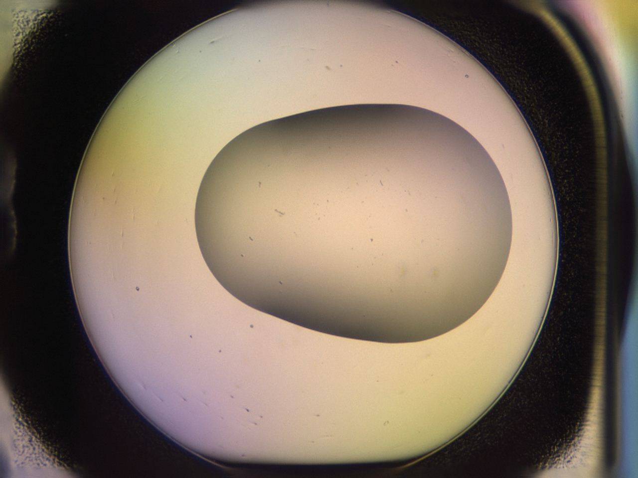 046p_B8_ImagerDefaults_0.jpg