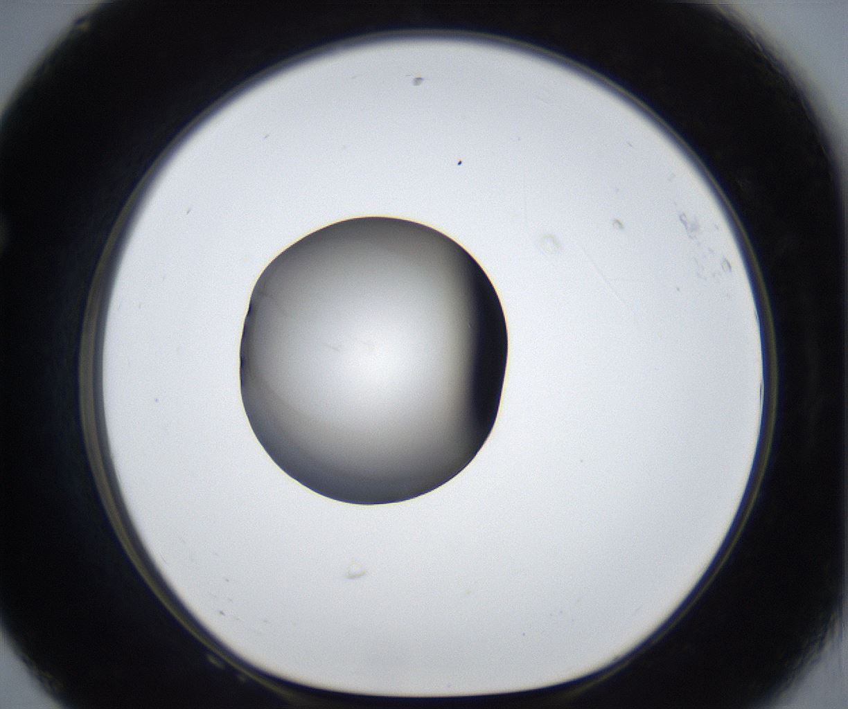 folderID915_plateID2915_batchID15763_wellNum68_profileID1_d1_r239202_ef.jpg