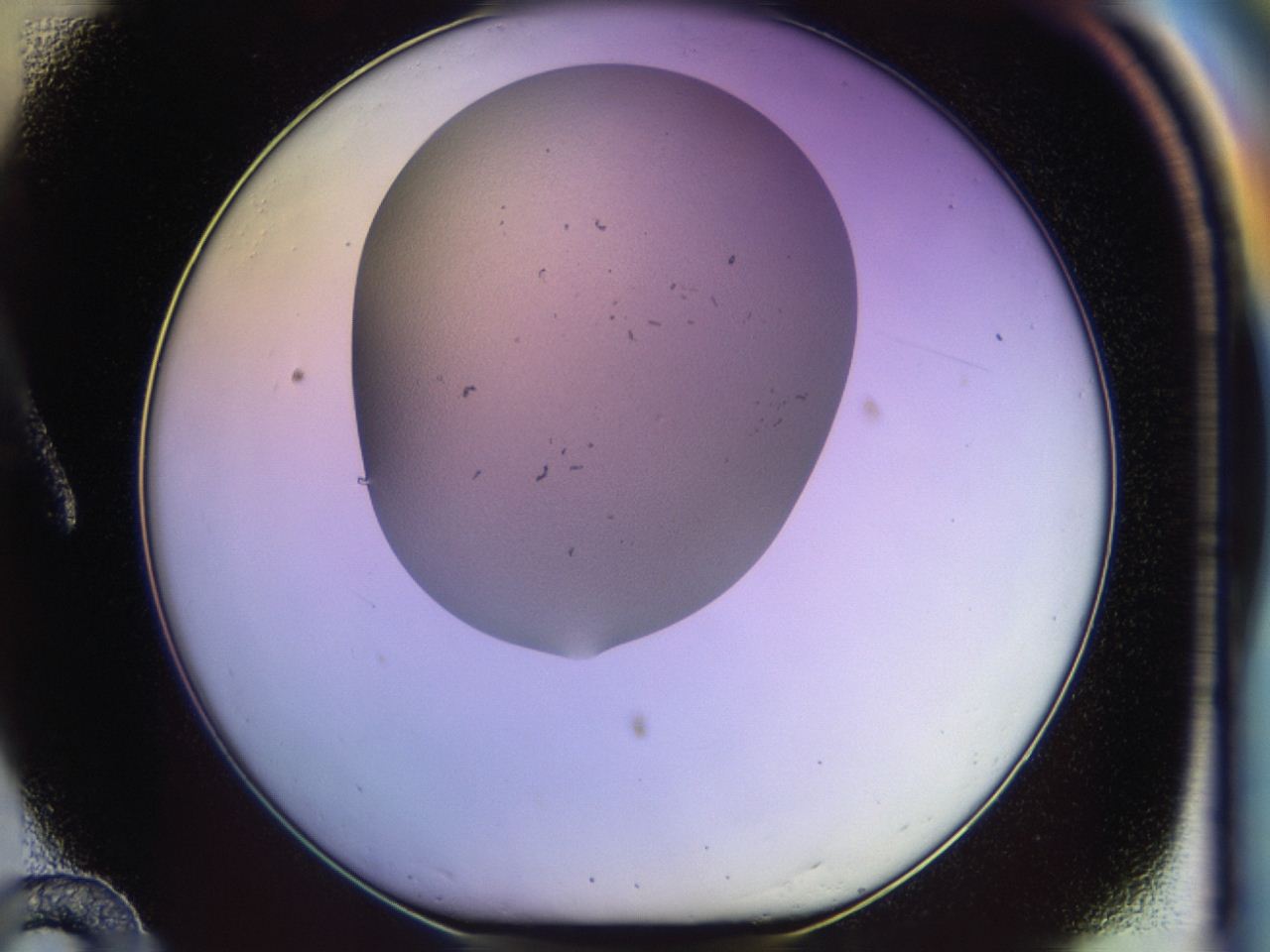 046p_A12_ImagerDefaults_0.jpg