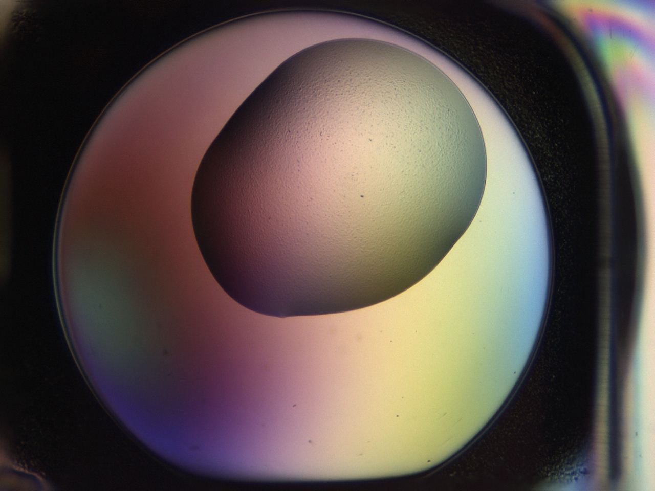 046p_H10_ImagerDefaults_0.jpg