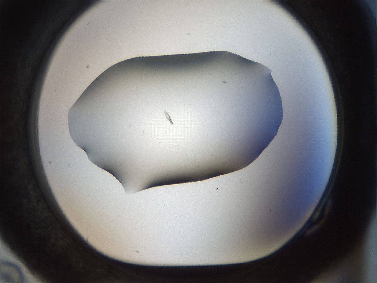 folderID916_plateID1916_batchID8276_wellNum82_profileID1_d1_r128375_ef.jpg