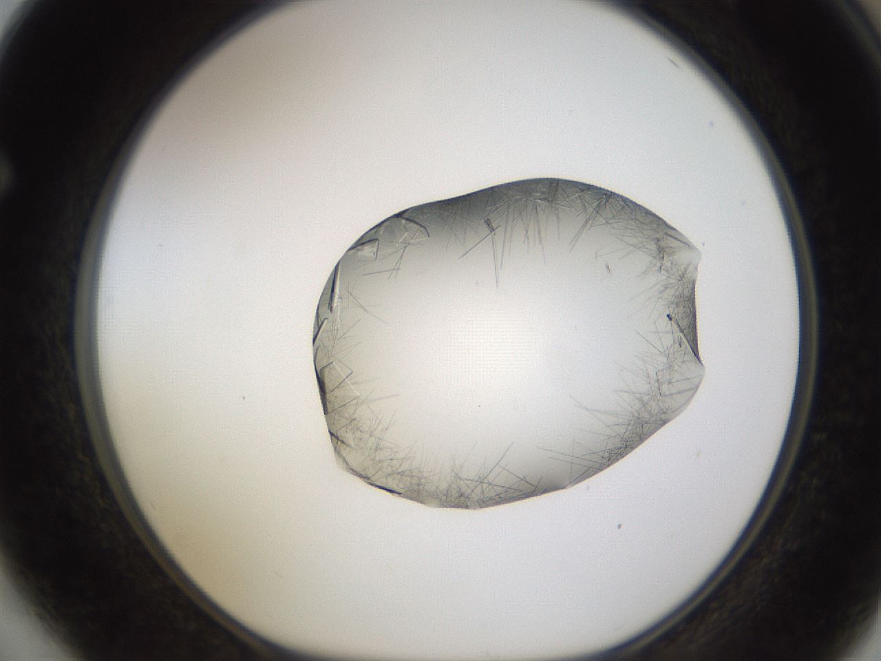 folderID635_plateID2635_batchID13214_wellNum64_profileID1_d1_r210664_ef.jpg