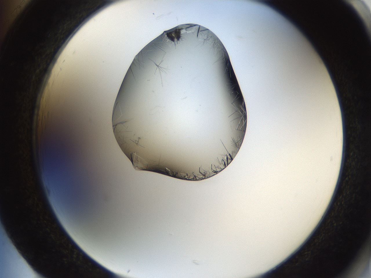 folderID635_plateID2635_batchID13214_wellNum85_profileID1_d2_r210707_ef.jpg