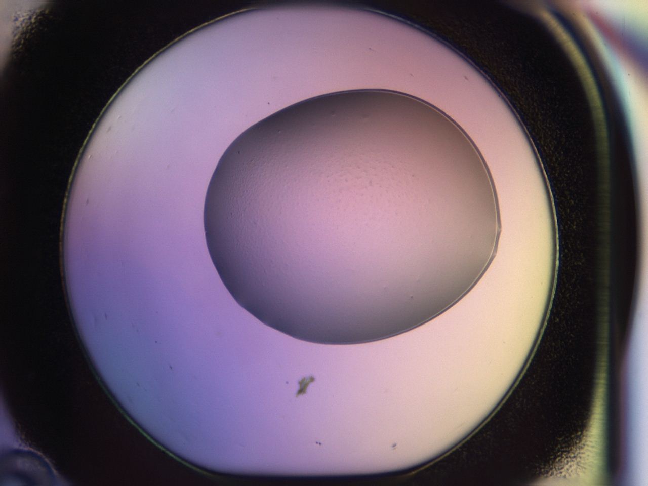 046q_D10_ImagerDefaults_0.jpg