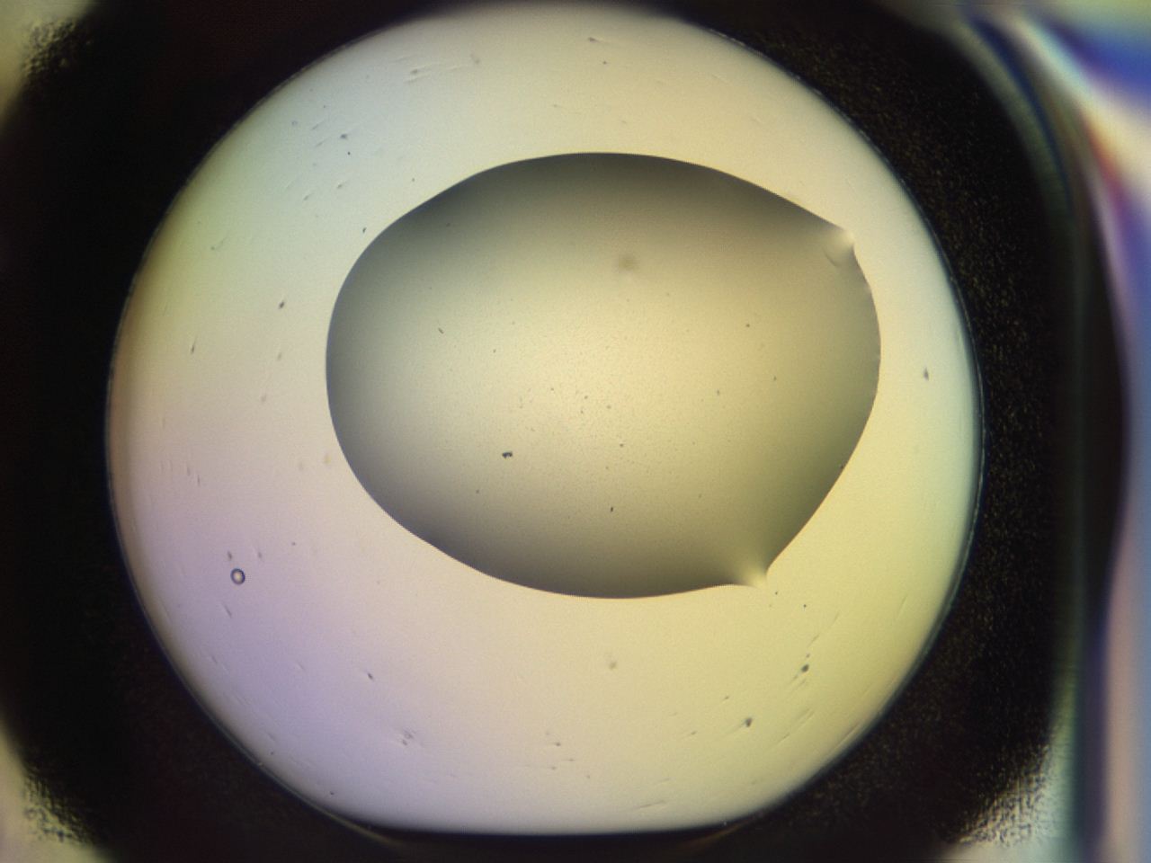 046q_E7_ImagerDefaults_0.jpg