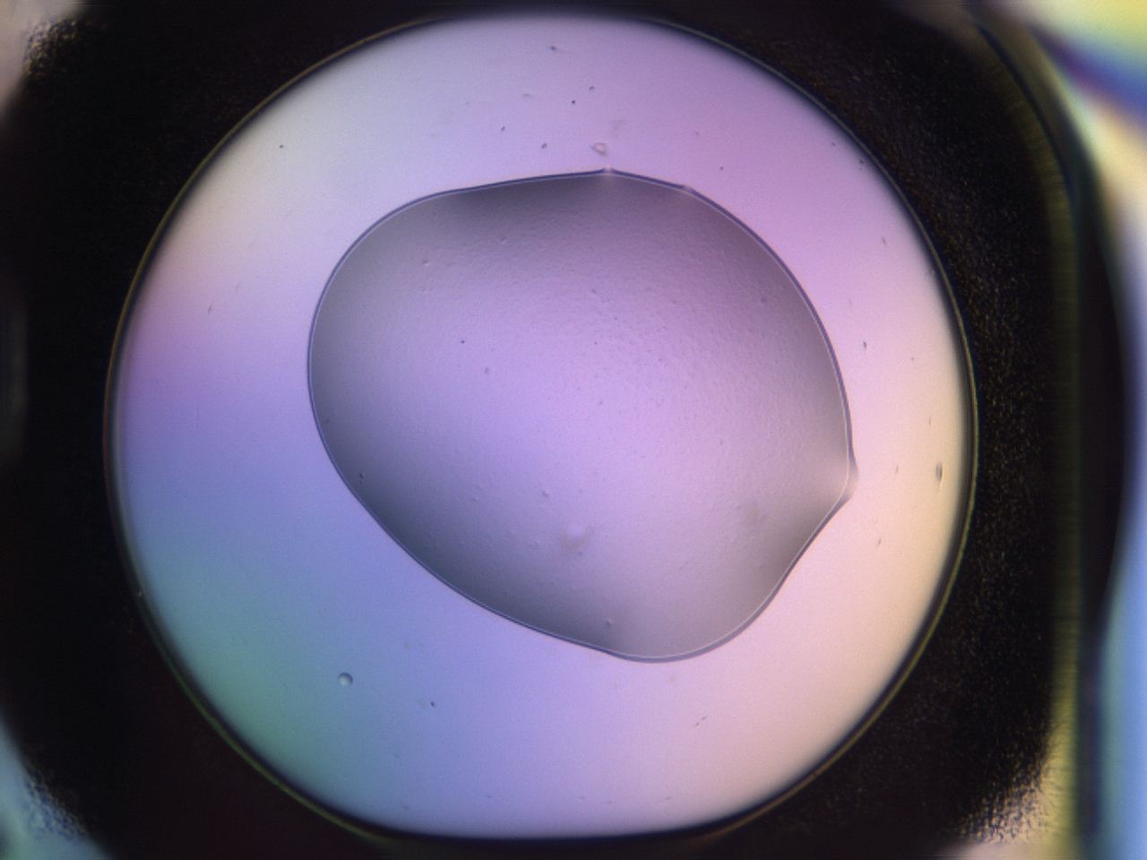 046q_D6_ImagerDefaults_0.jpg
