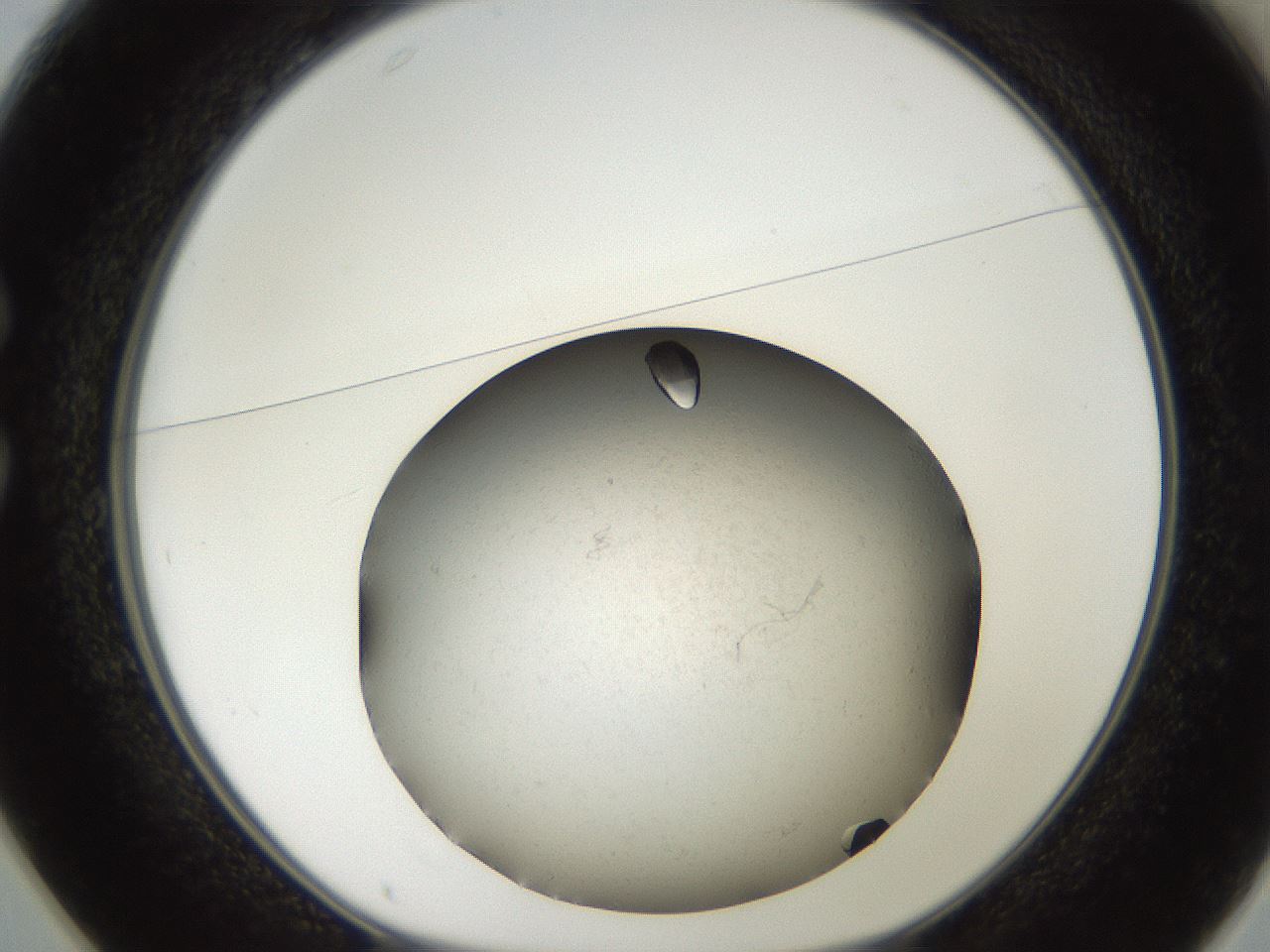 folderID735_plateID1735_batchID7276_wellNum25_profileID1_d1_r115611_ef.jpg