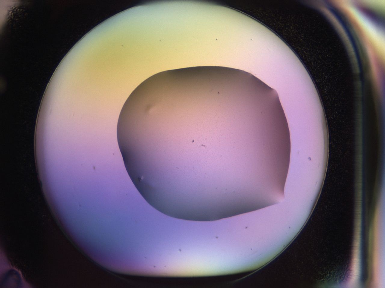 046q_F11_ImagerDefaults_0.jpg