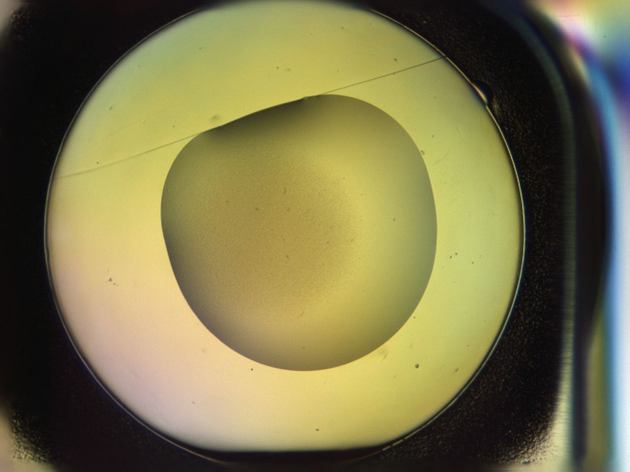 046r_E1_ImagerDefaults_0.jpg