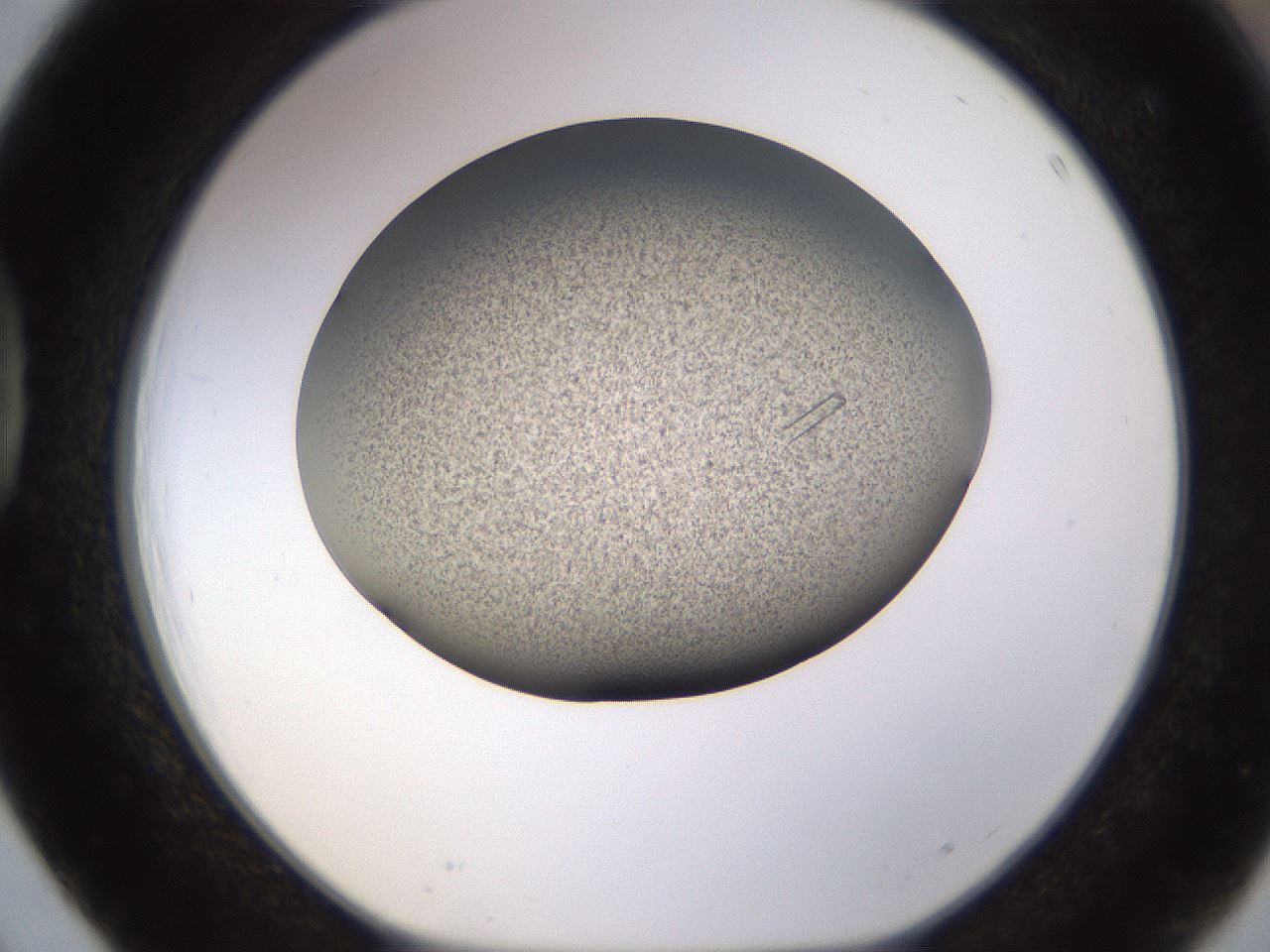 folderID741_plateID1741_batchID7298_wellNum39_profileID1_d1_r115529_ef.jpg