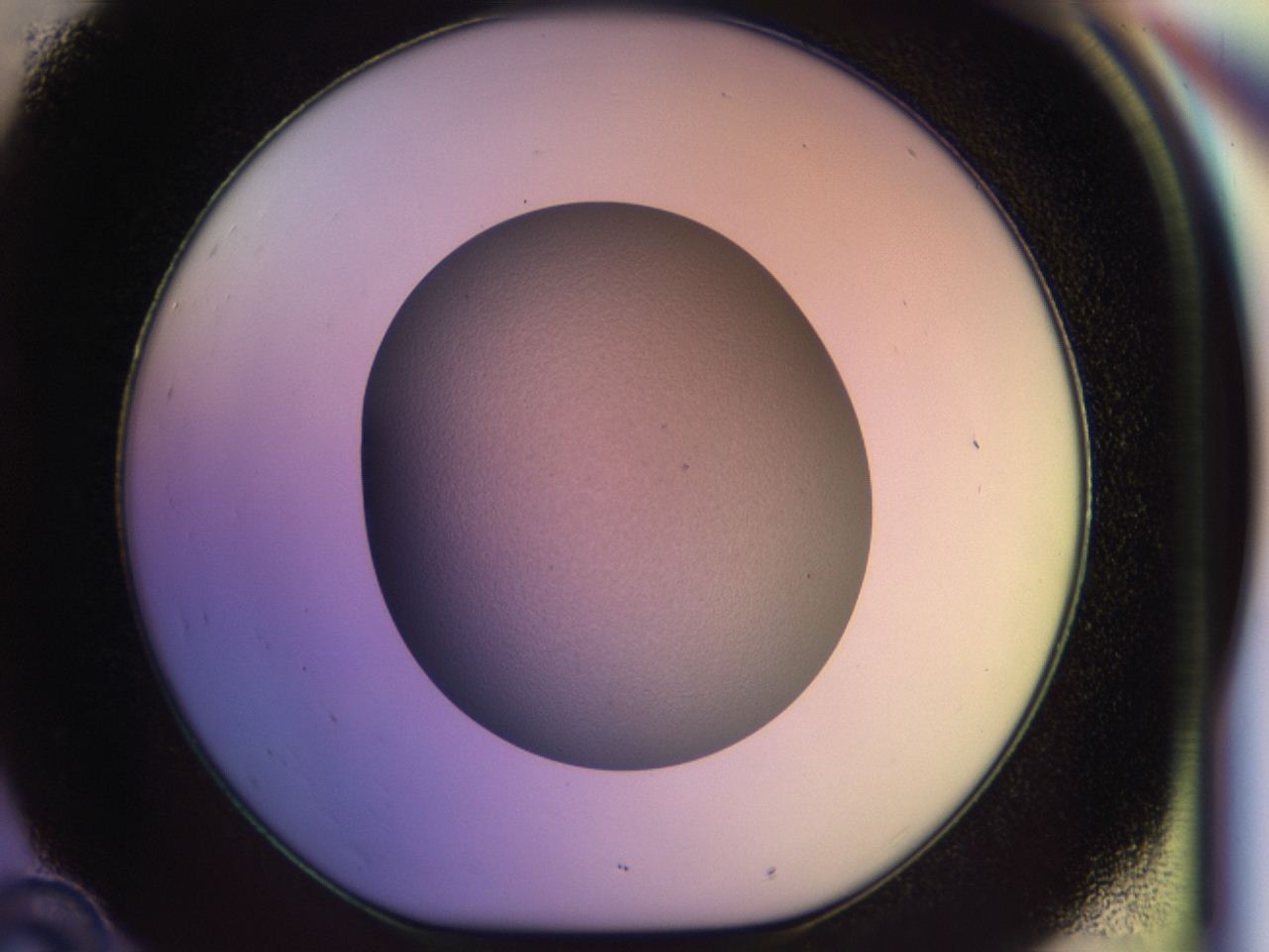 046r_D10_ImagerDefaults_0.jpg