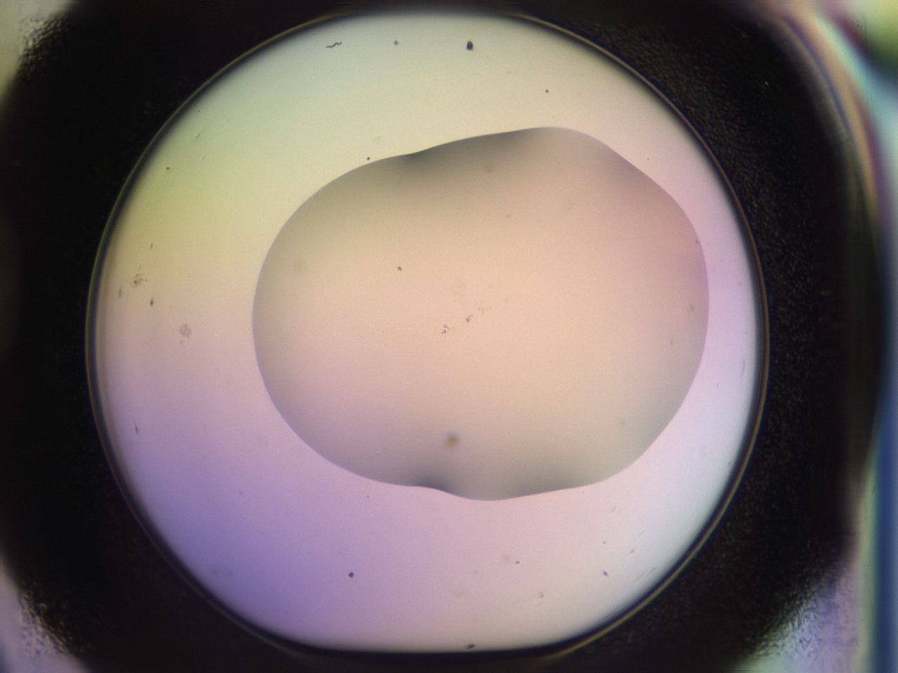 046r_D9_ImagerDefaults_0.jpg