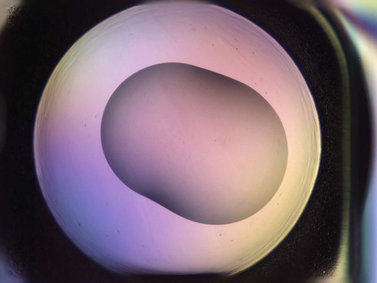 046r_D5_ImagerDefaults_0.jpg