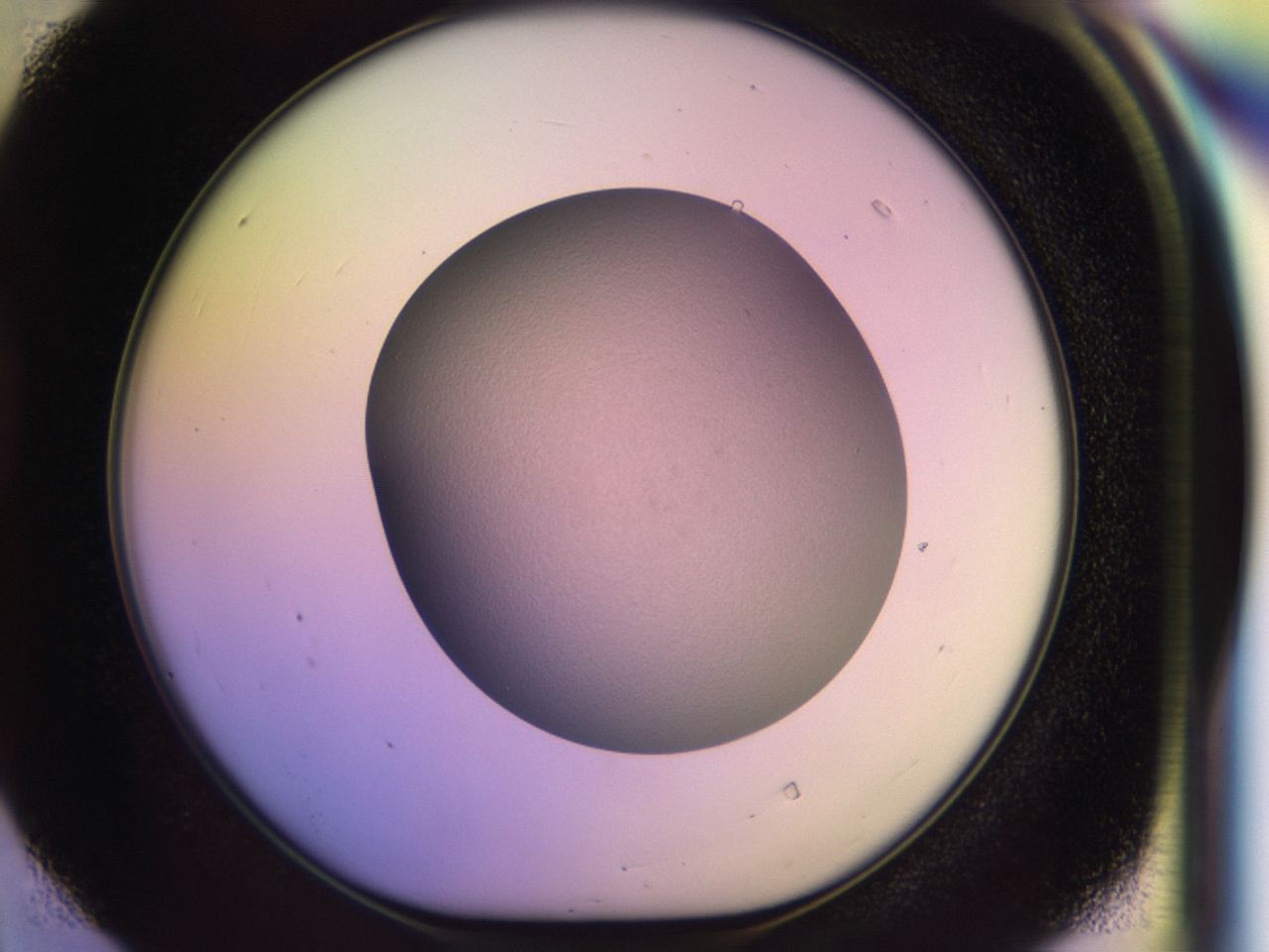 046r_D4_ImagerDefaults_0.jpg