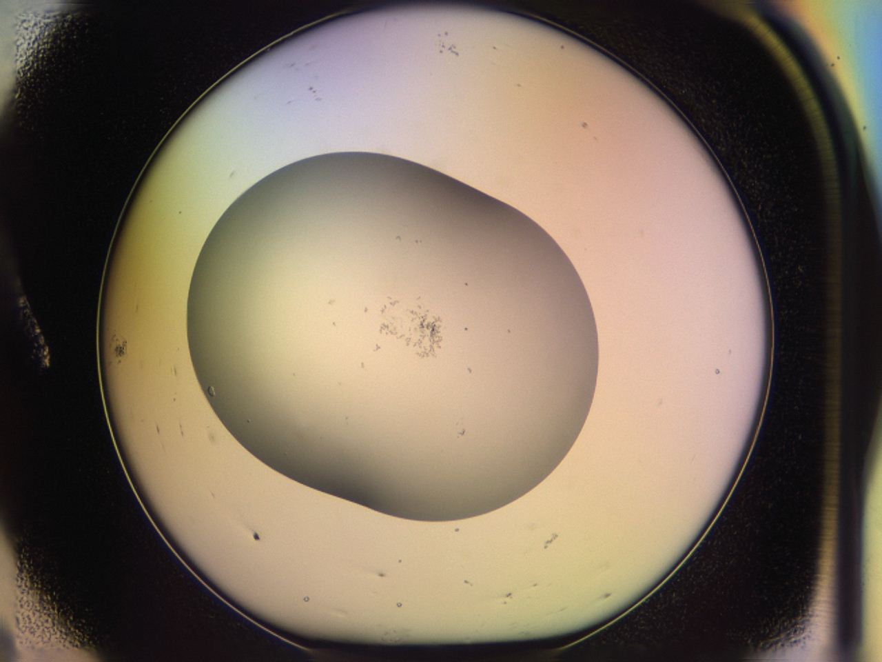 046r_A8_ImagerDefaults_1.jpg