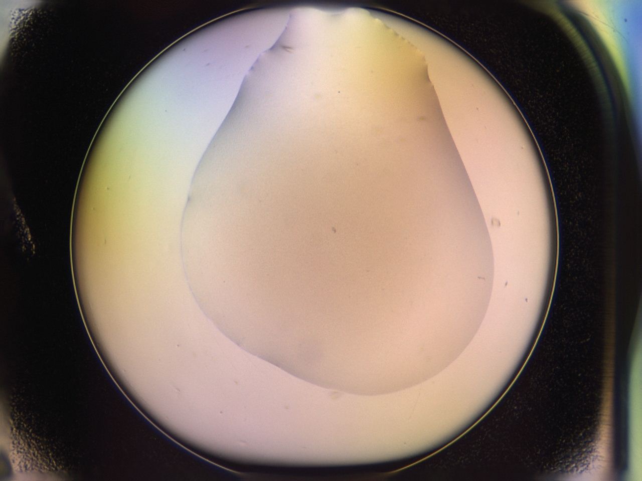 046r_A6_ImagerDefaults_0.jpg