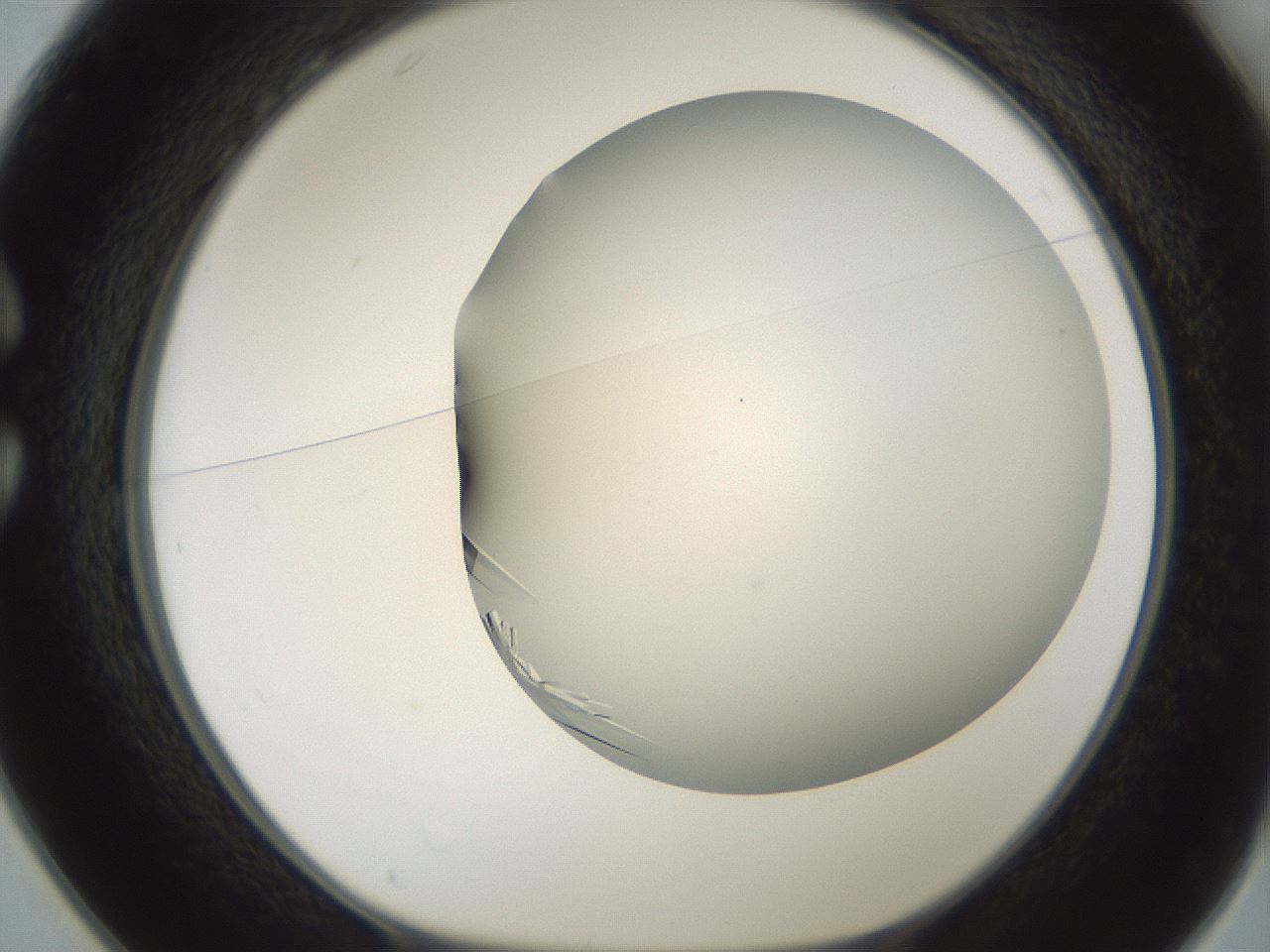 folderID850_plateID2850_batchID15358_wellNum25_profileID1_d1_r232944_ef.jpg