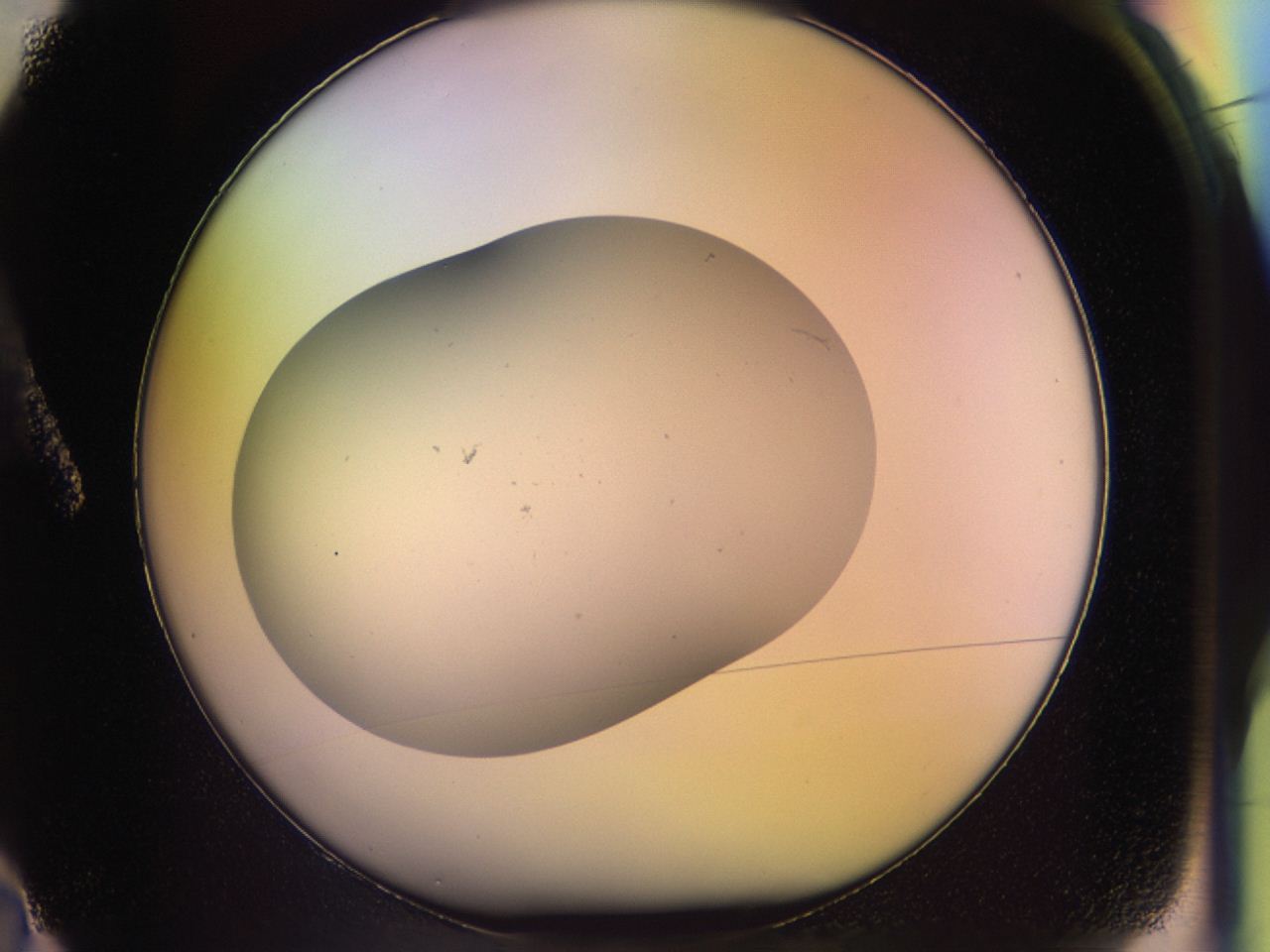 046r_A2_ImagerDefaults_0.jpg