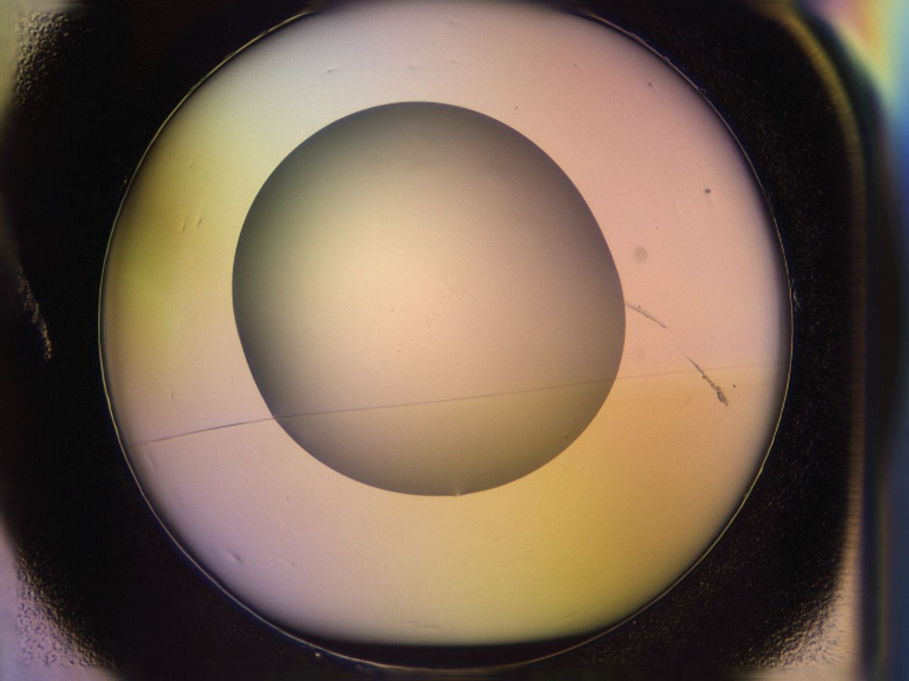 046r_A1_ImagerDefaults_0.jpg