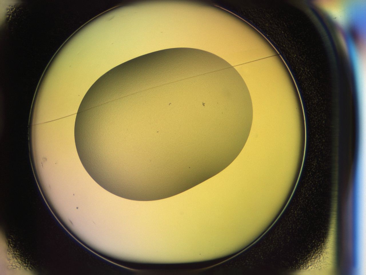 046r_D1_ImagerDefaults_0.jpg