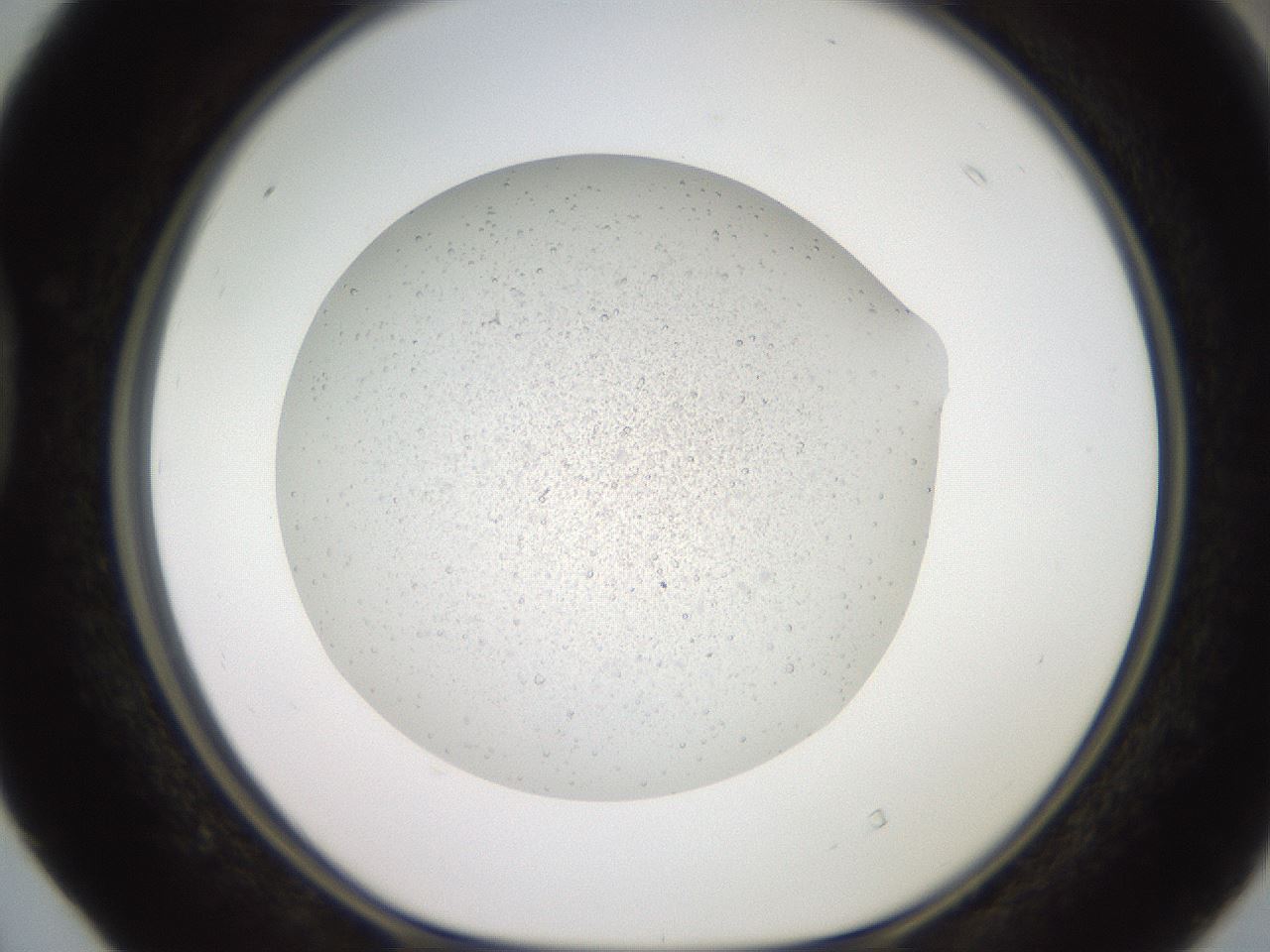 folderID629_plateID1629_batchID6827_wellNum40_profileID1_d1_r108986_ef.jpg
