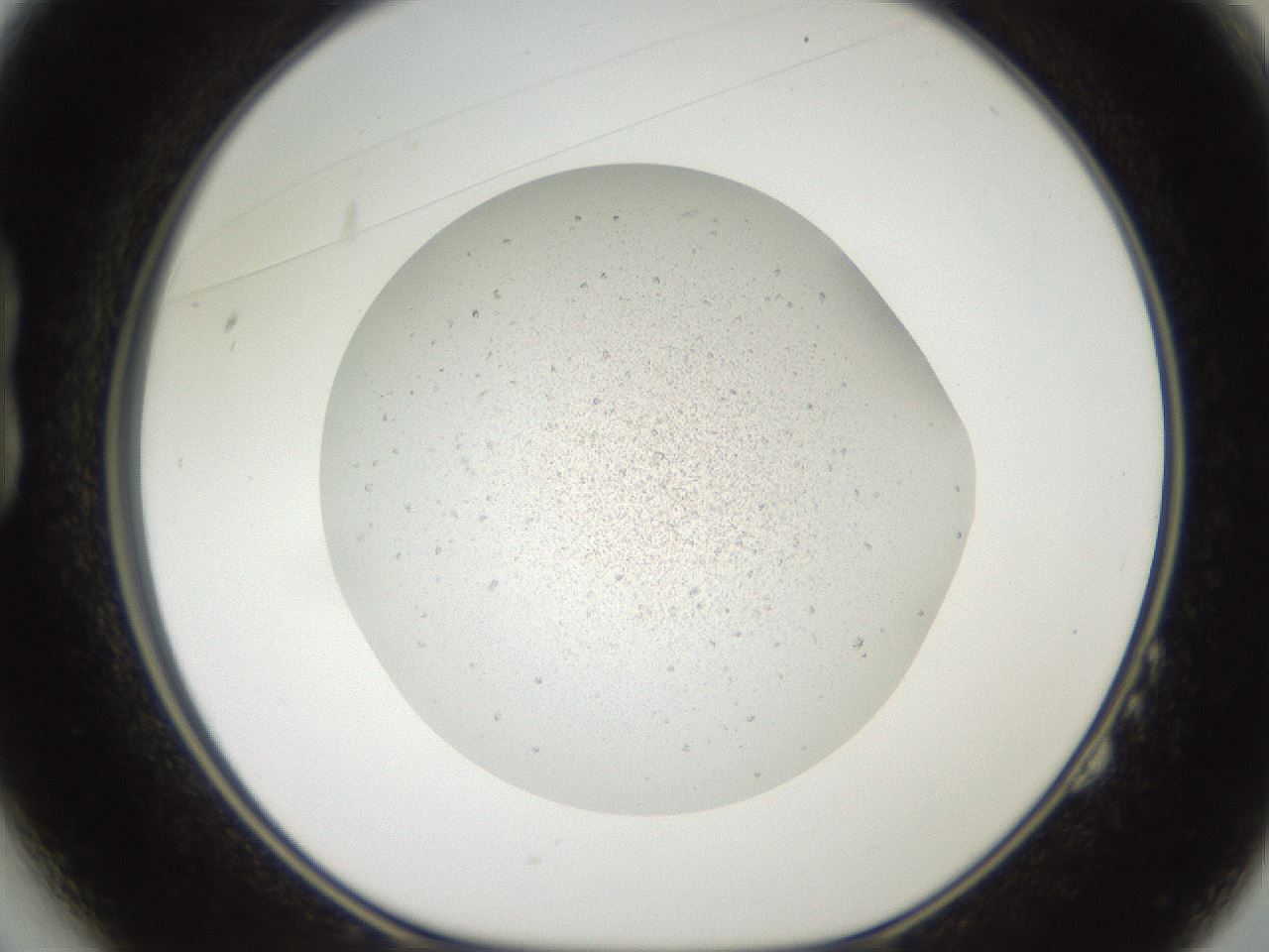 folderID630_plateID1630_batchID6829_wellNum14_profileID1_d1_r109152_ef.jpg