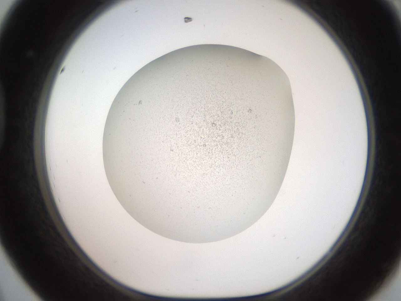folderID630_plateID1630_batchID6829_wellNum44_profileID1_d1_r109182_ef.jpg