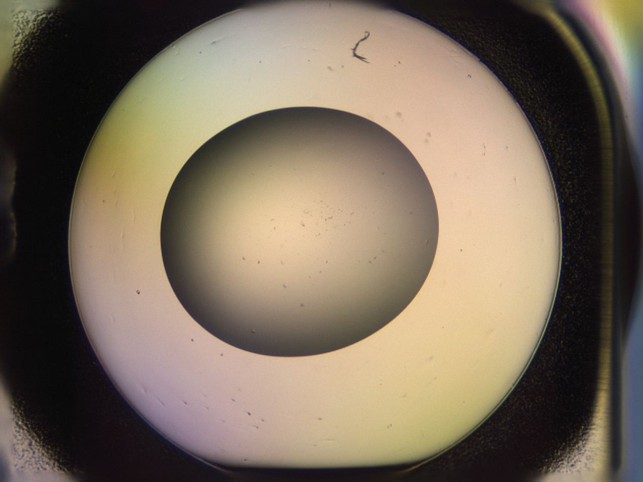 046r_B8_ImagerDefaults_0.jpg