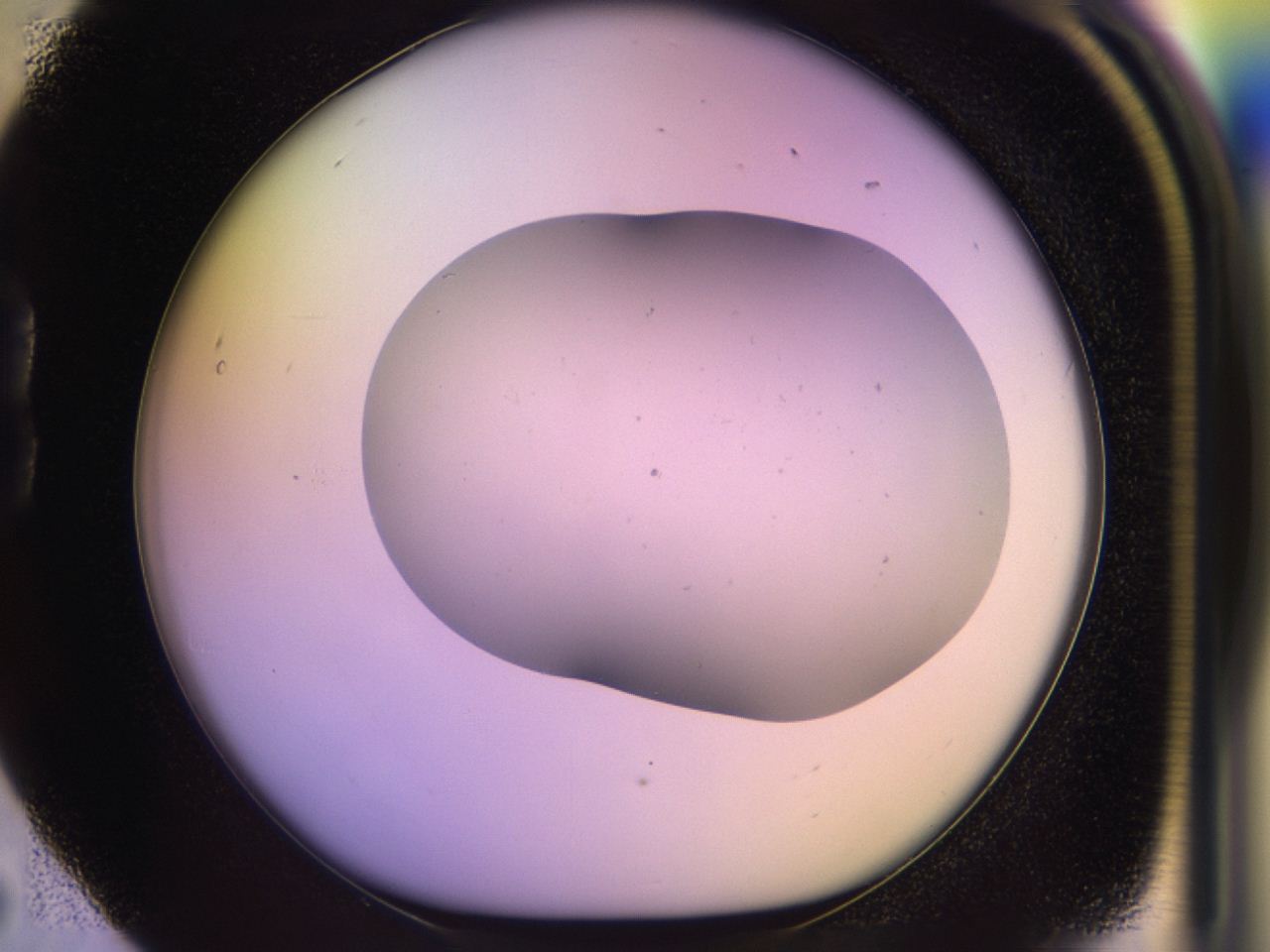 046r_B5_ImagerDefaults_0.jpg