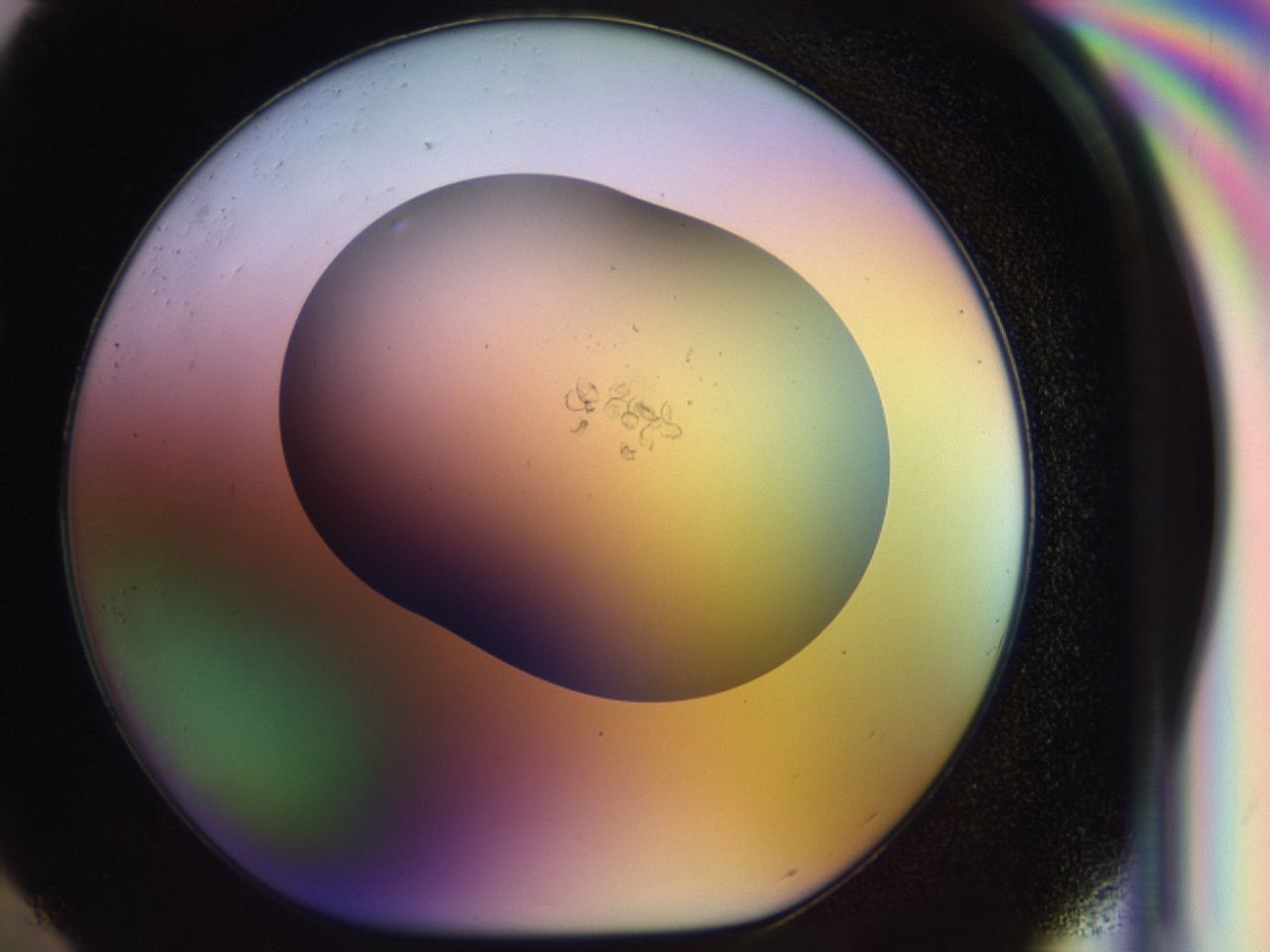 046r_H4_ImagerDefaults_1.jpg