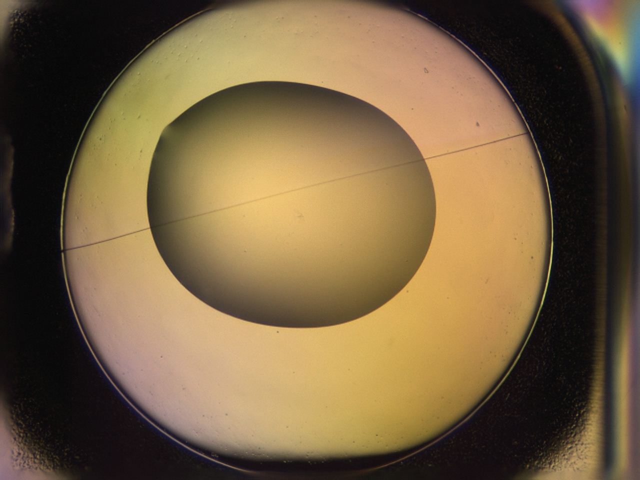 046r_B1_ImagerDefaults_0.jpg