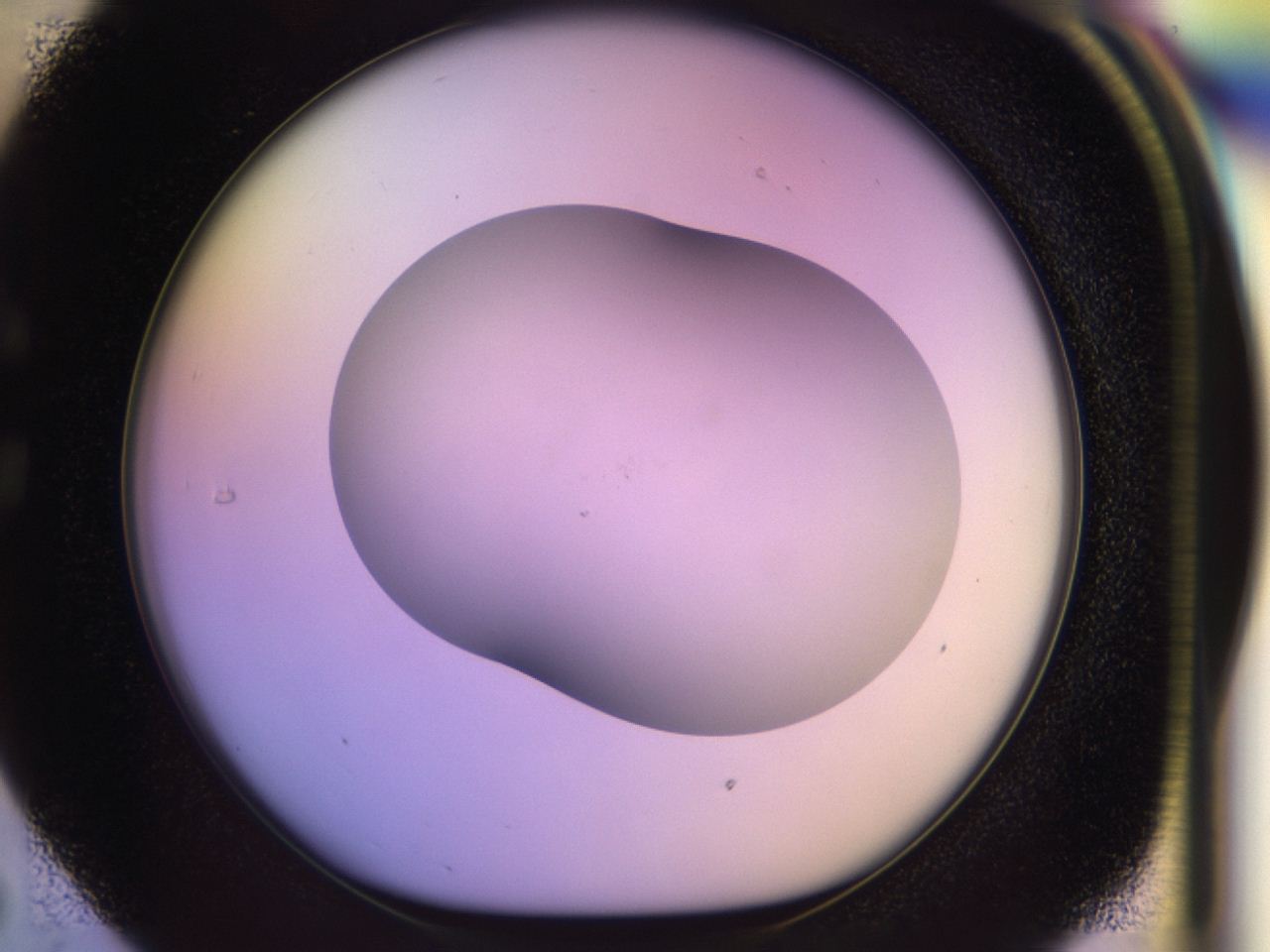 046r_C5_ImagerDefaults_0.jpg