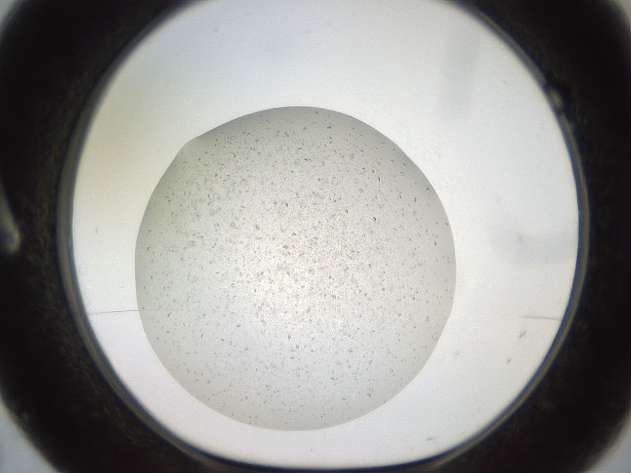 folderID629_plateID1629_batchID6827_wellNum7_profileID1_d1_r108953_ef.jpg