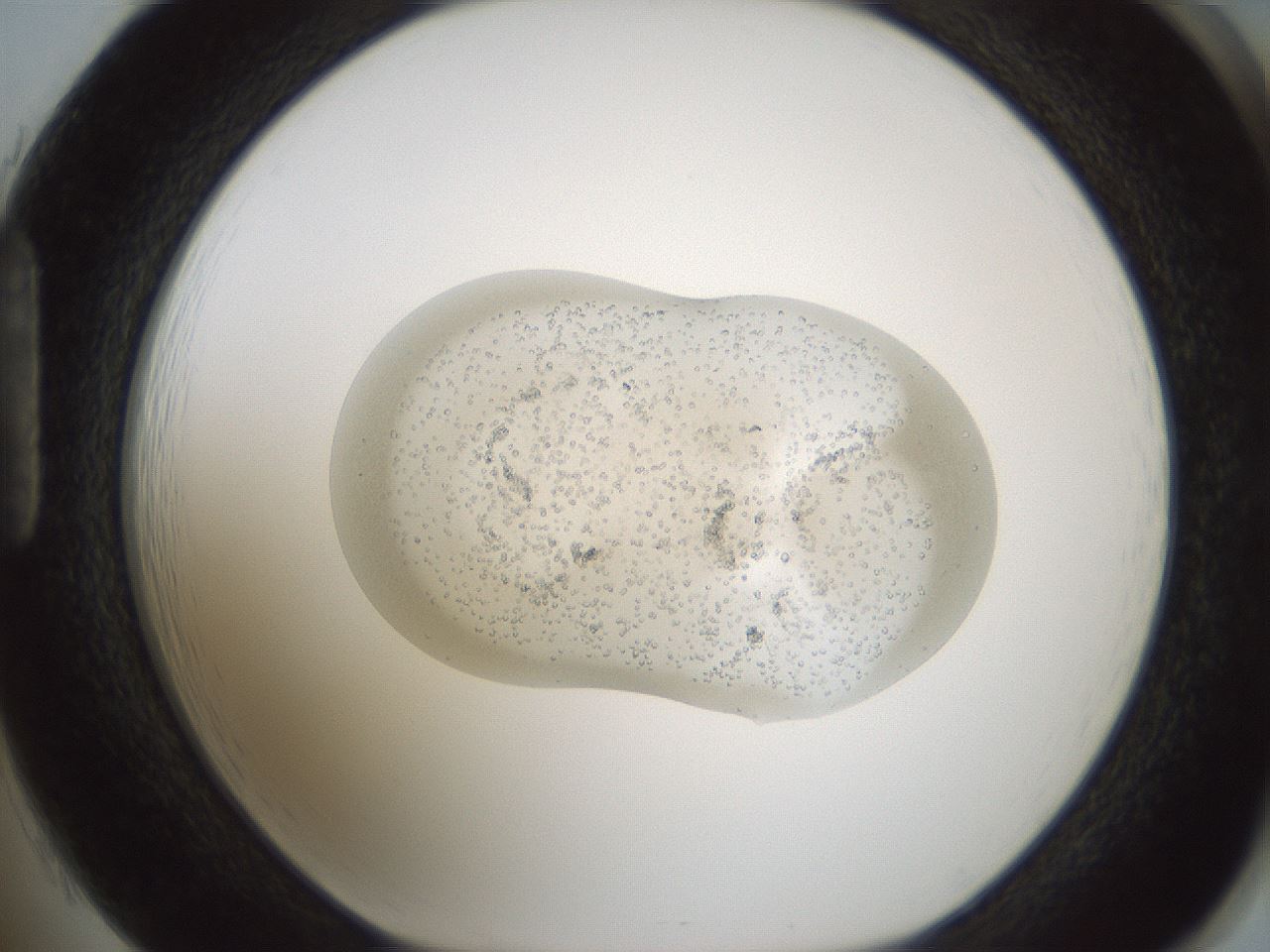 folderID692_plateID2692_batchID14001_wellNum85_profileID1_d1_r219663_ef.jpg