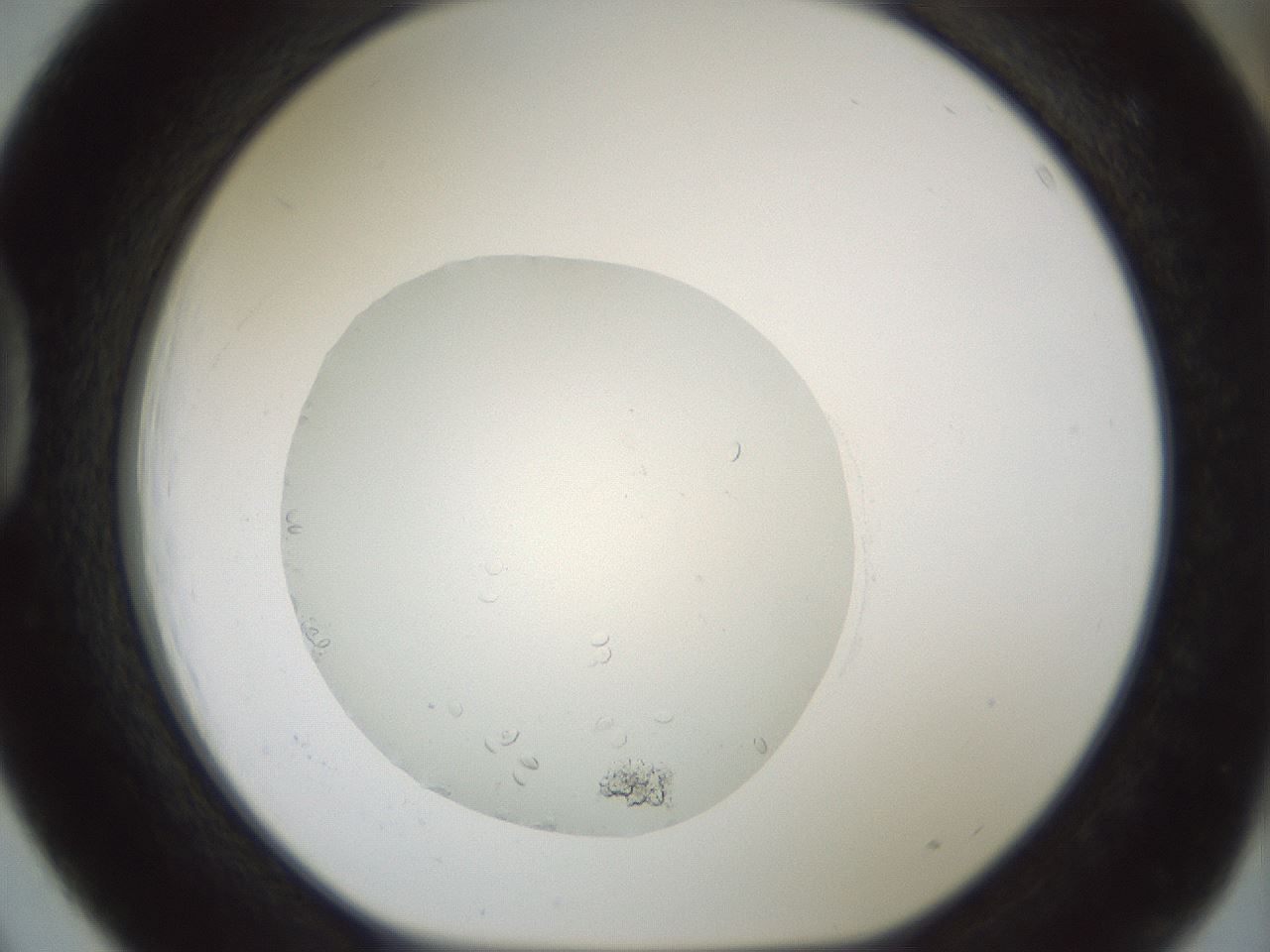 folderID746_plateID2746_batchID14287_wellNum39_profileID1_d1_r225489_ef.jpg