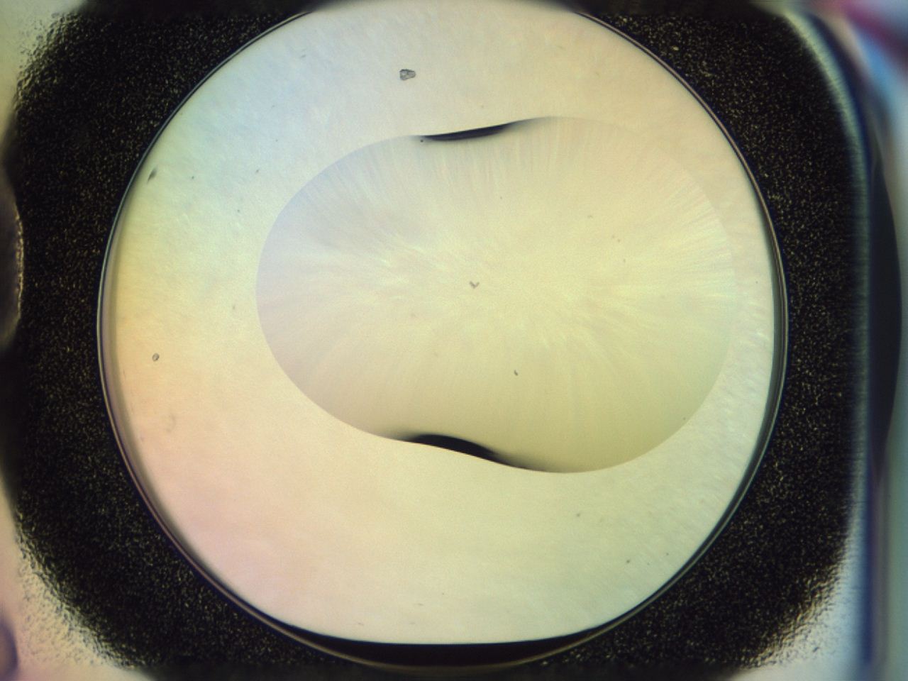 046s_D8_ImagerDefaults_0.jpg