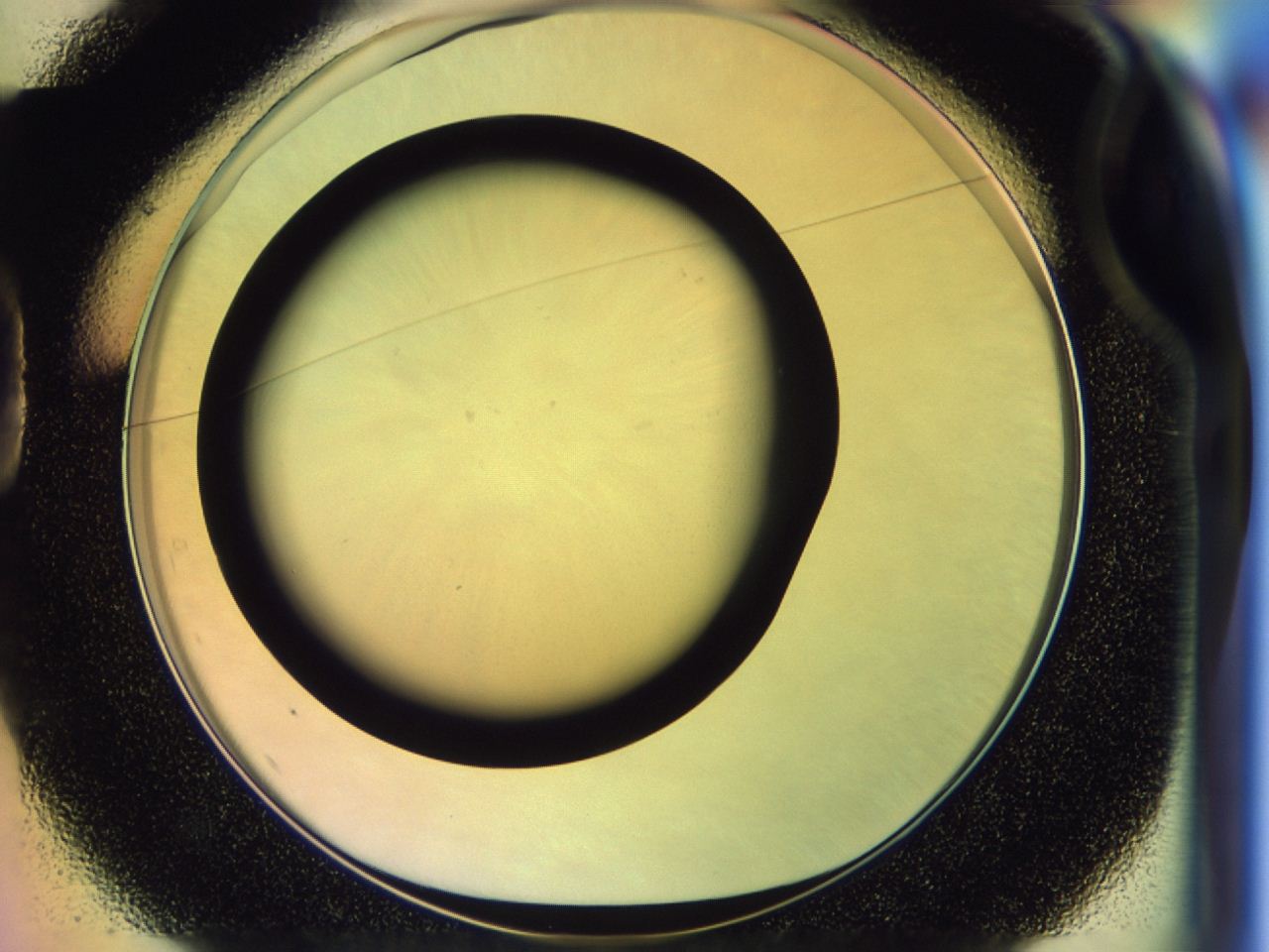 046s_D1_ImagerDefaults_0.jpg