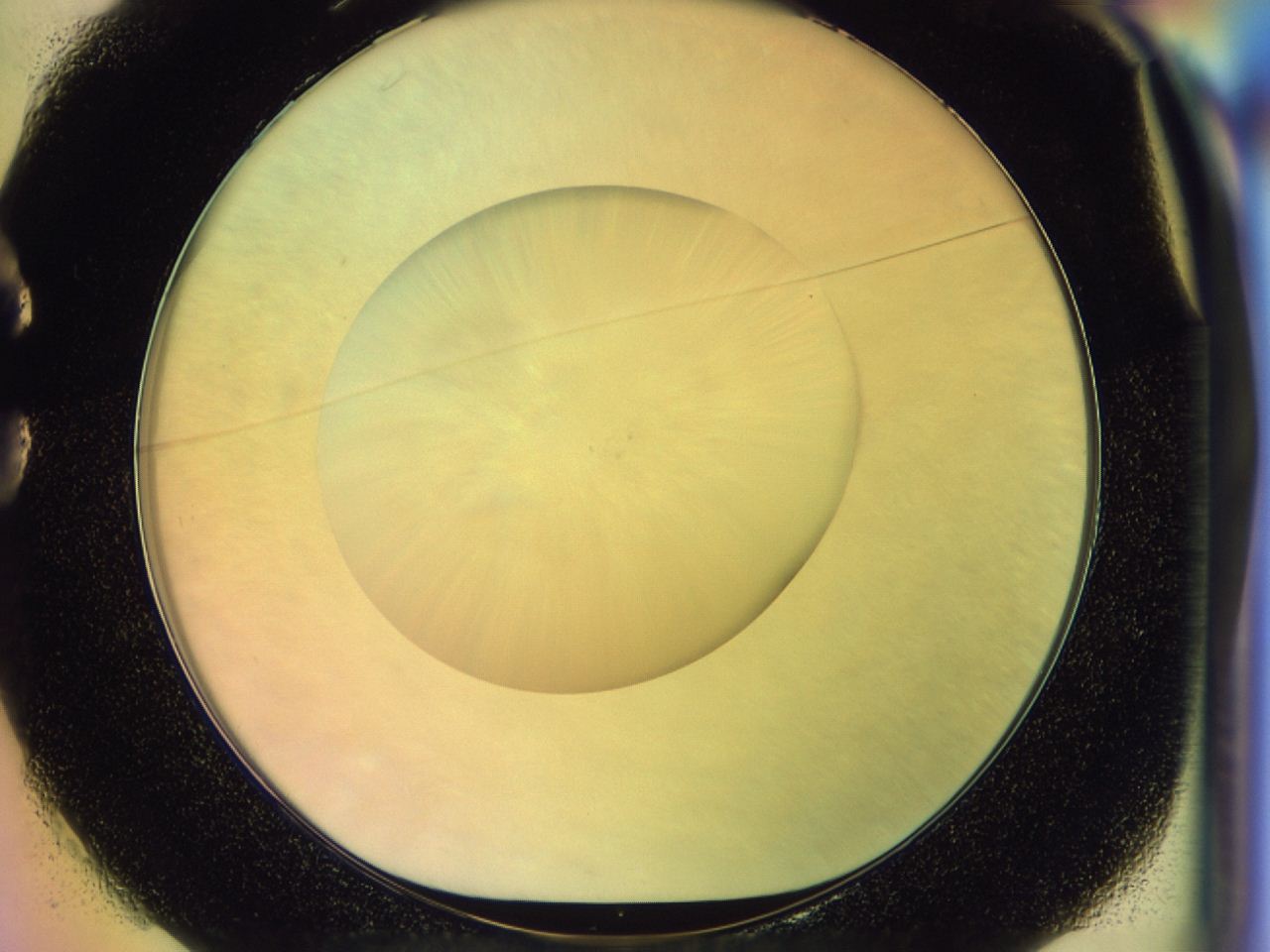 046s_C1_ImagerDefaults_0.jpg
