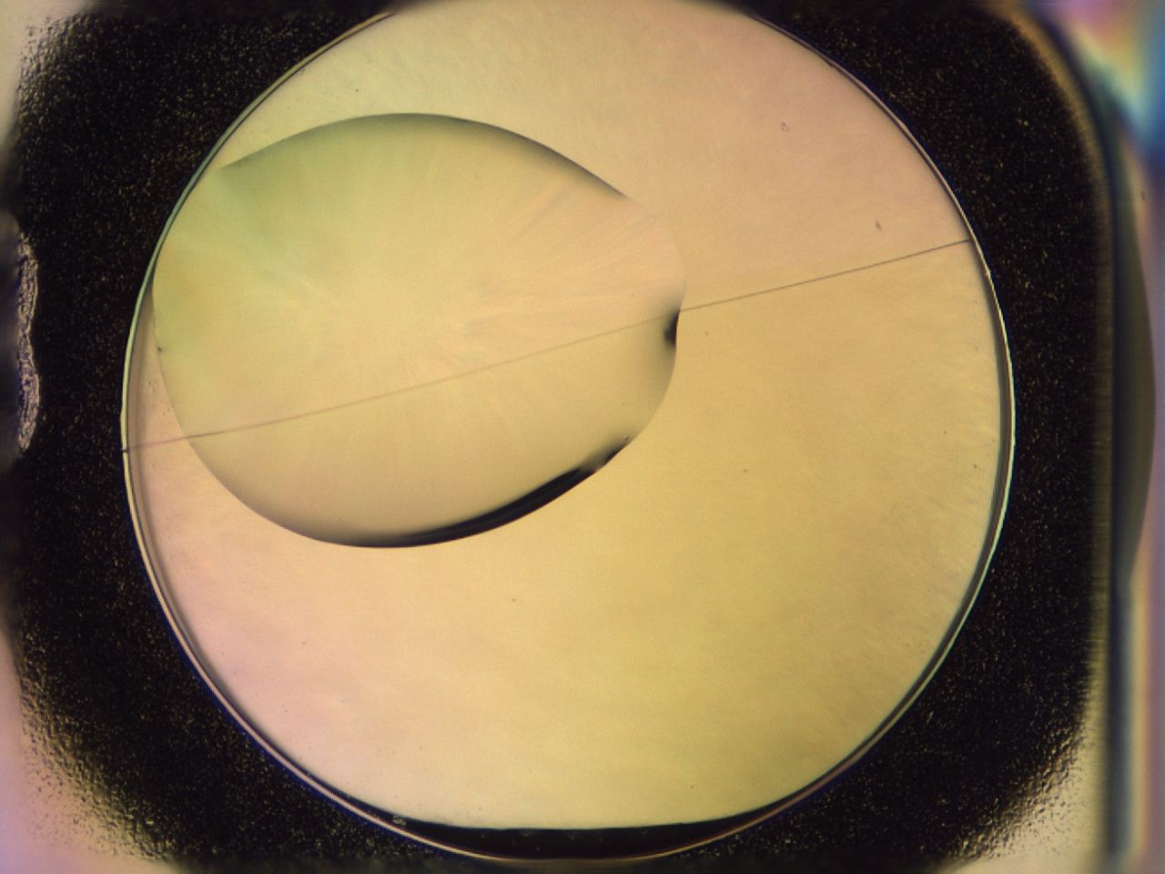 046t_B1_ImagerDefaults_0.jpg