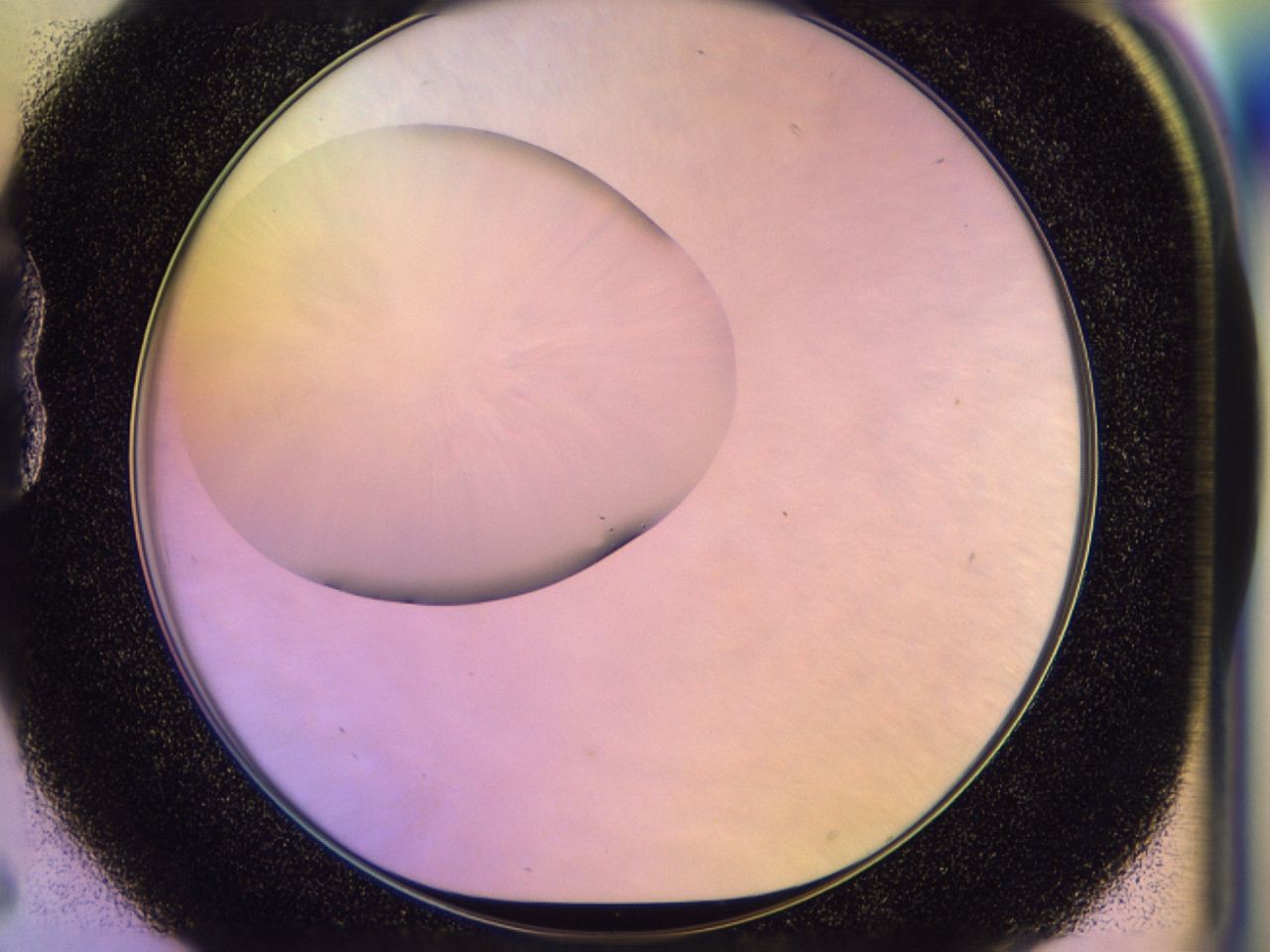 046t_B6_ImagerDefaults_0.jpg