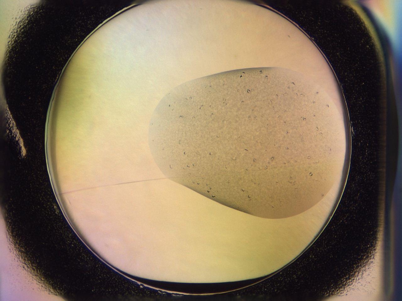 046t_A1_ImagerDefaults_6.jpg