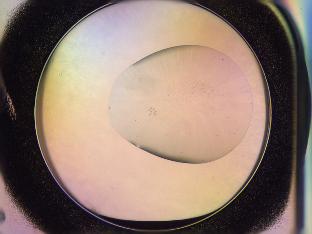 046t_A5_ImagerDefaults_0.jpg