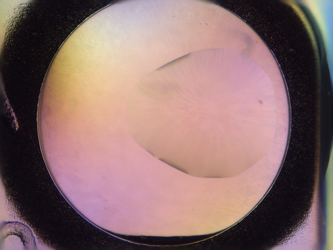 046t_A10_ImagerDefaults_0.jpg
