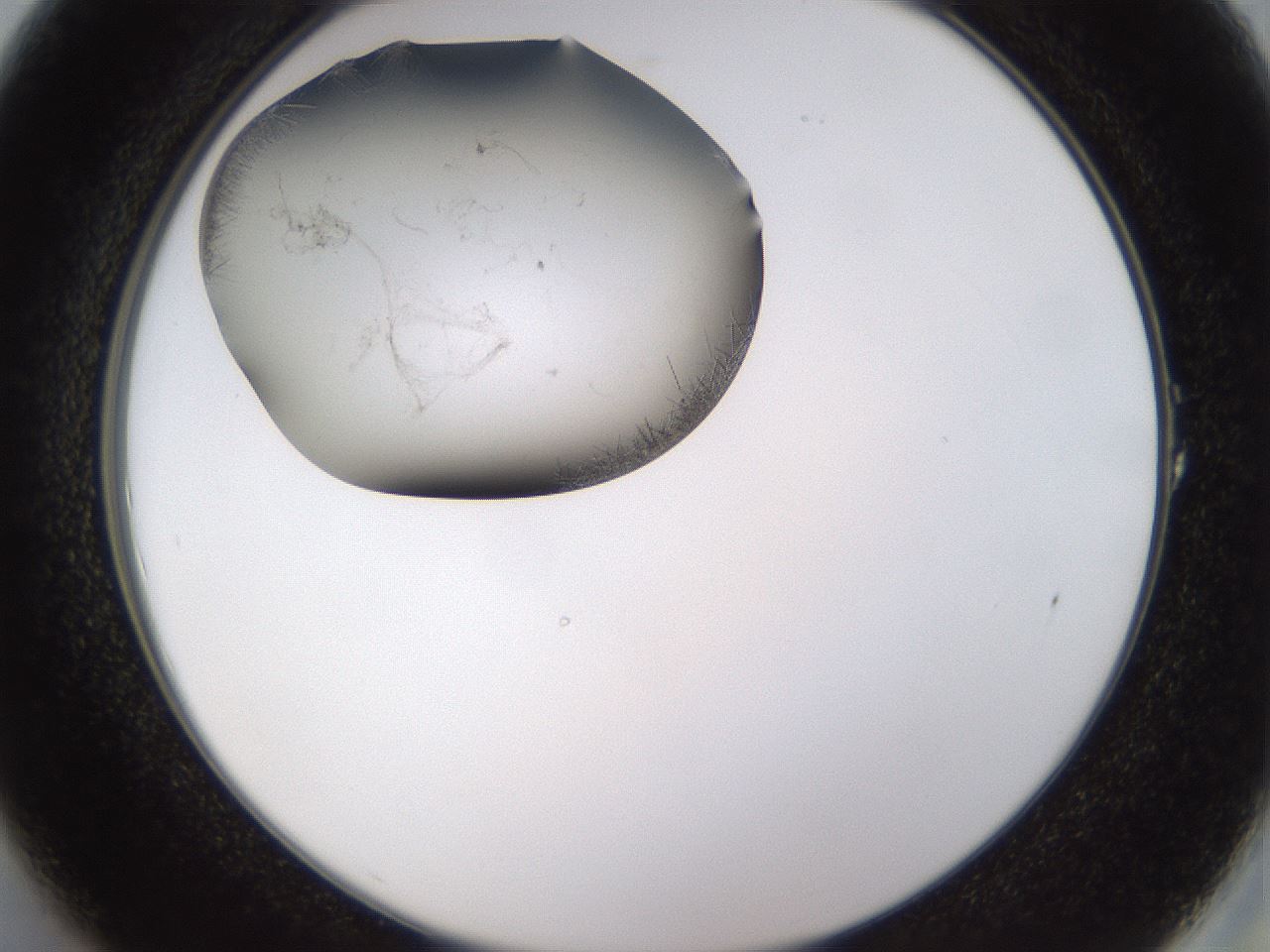 folderID634_plateID2634_batchID13212_wellNum1_profileID1_d2_r209387_ef.jpg