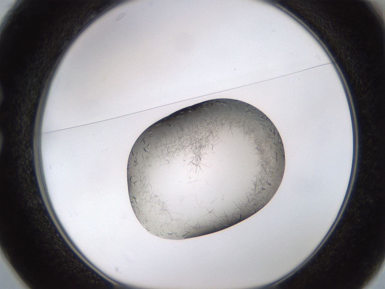 folderID634_plateID2634_batchID13212_wellNum25_profileID1_d1_r209434_ef.jpg