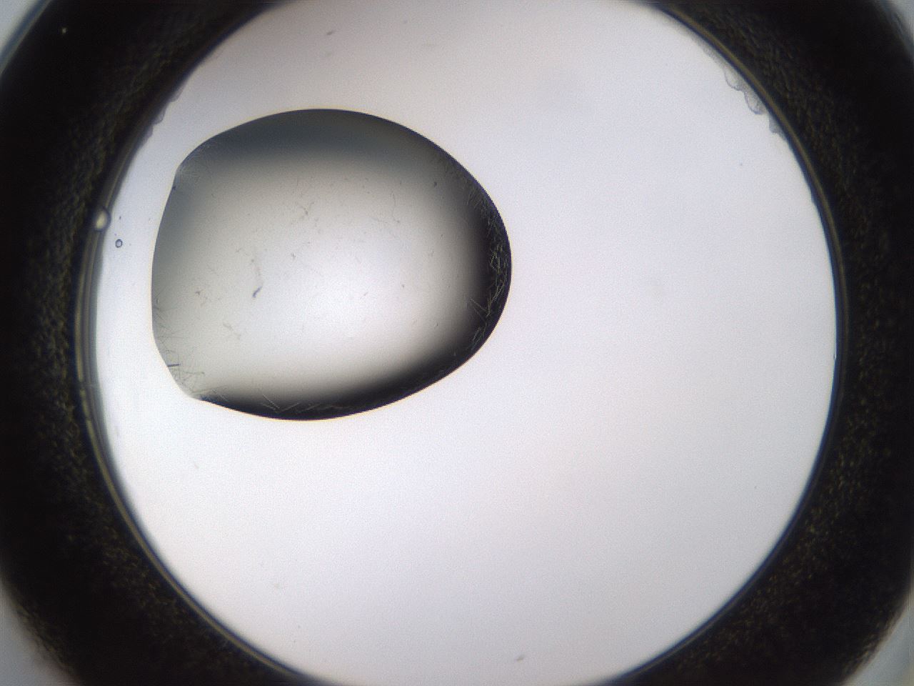 folderID634_plateID2634_batchID13212_wellNum25_profileID1_d2_r209435_ef.jpg