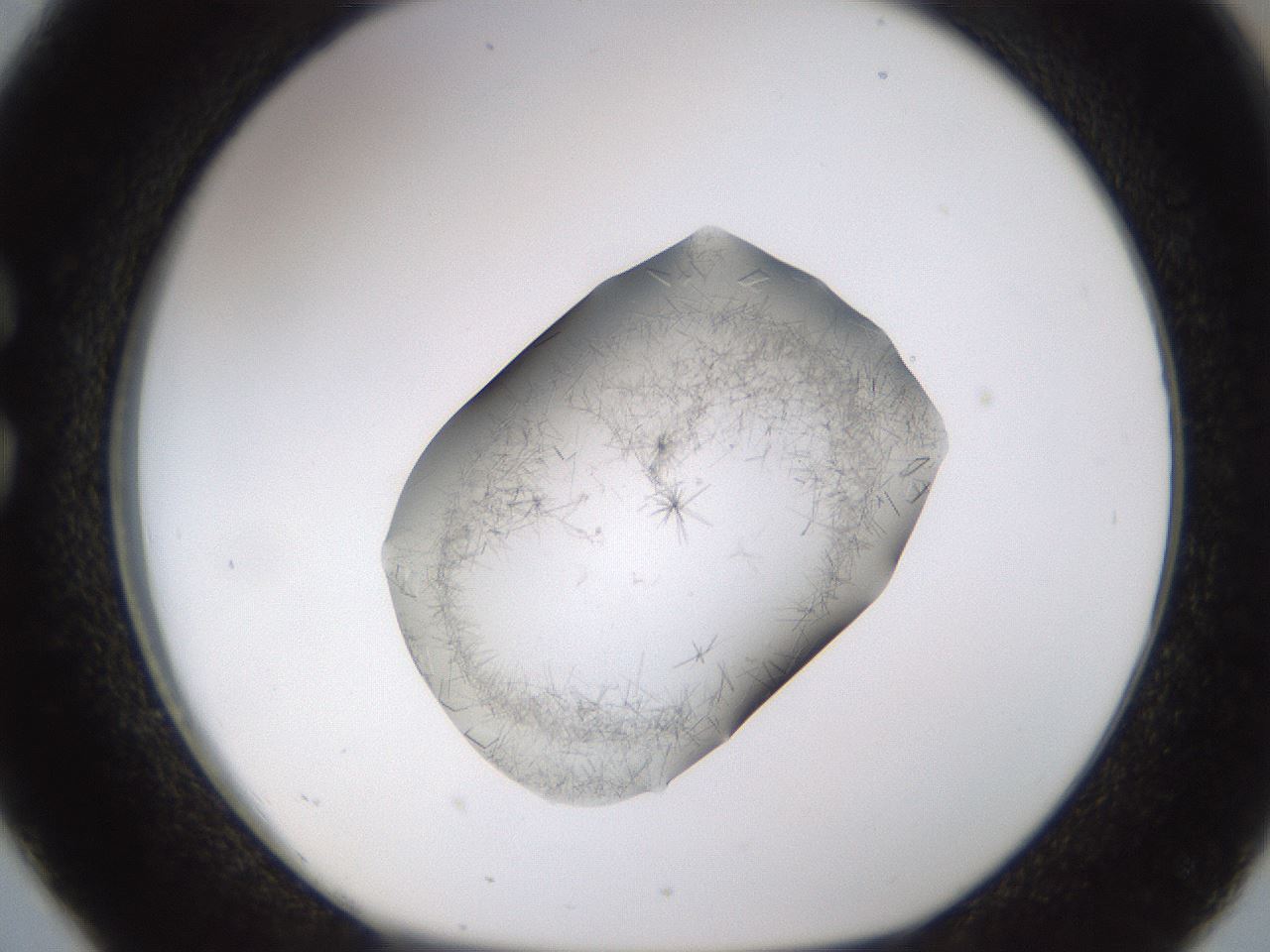 folderID634_plateID2634_batchID13212_wellNum26_profileID1_d1_r209436_ef.jpg