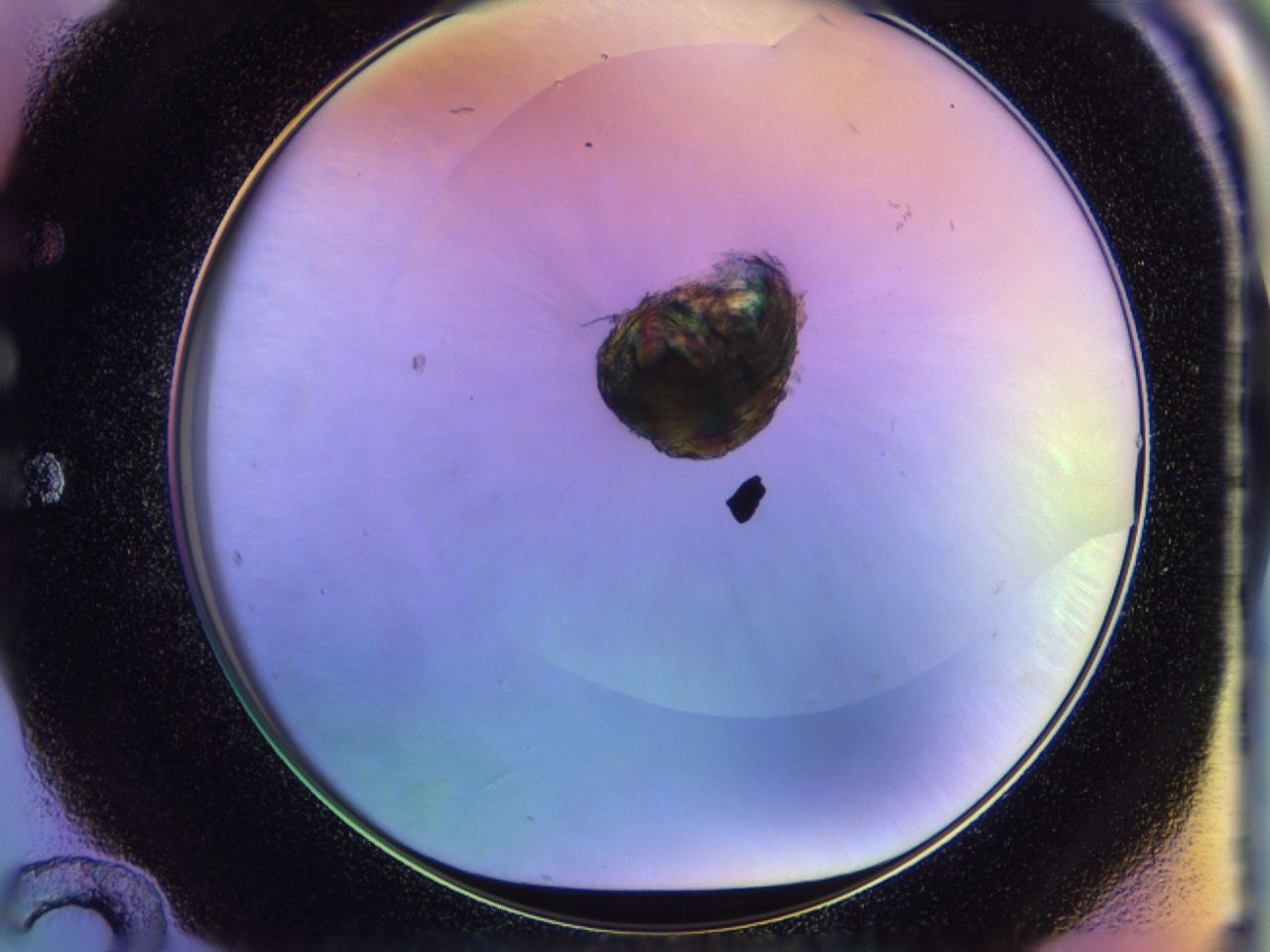 046t_E12_ImagerDefaults_1.jpg